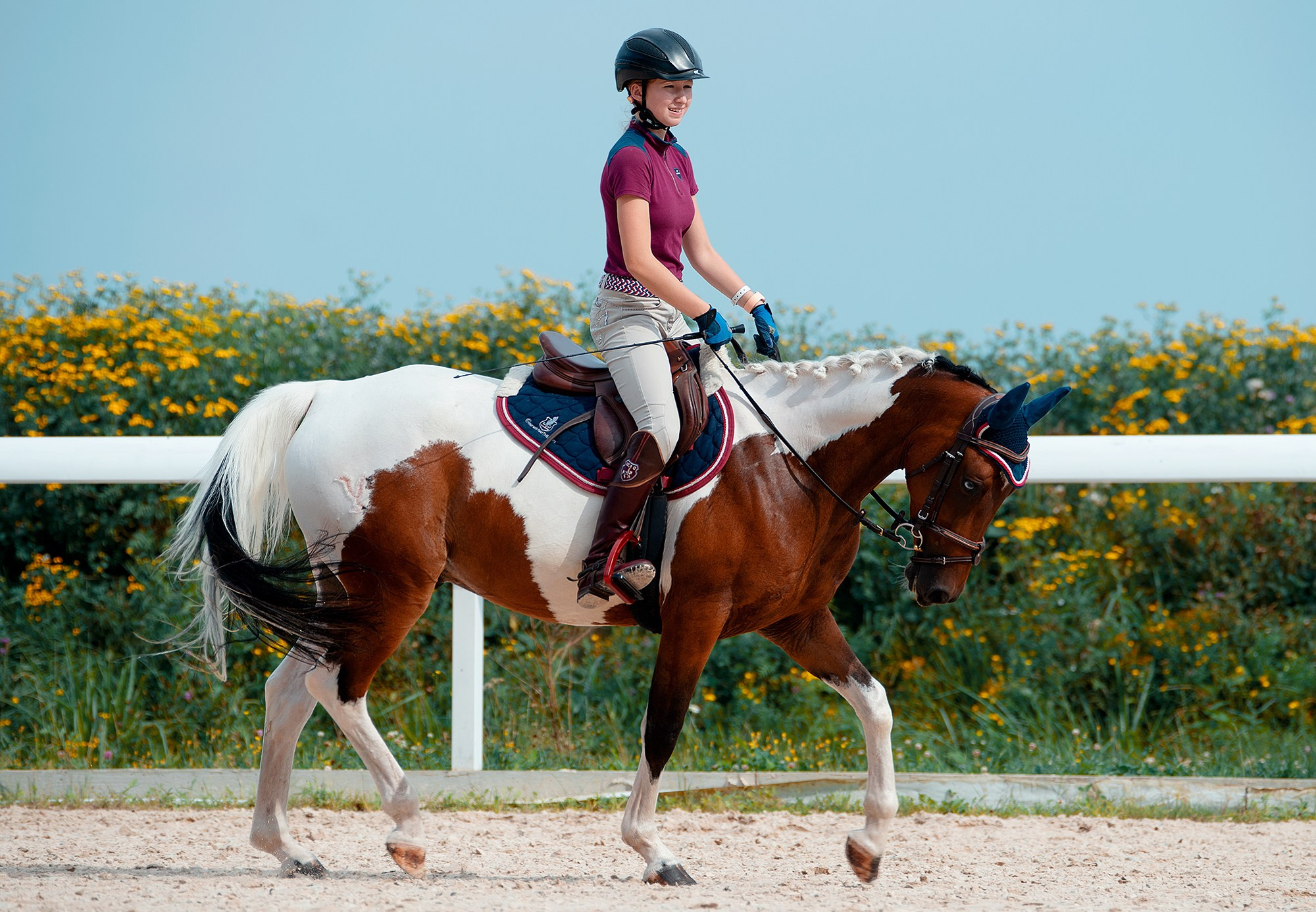 Тренировки. Конный фотограф Alesya Safe