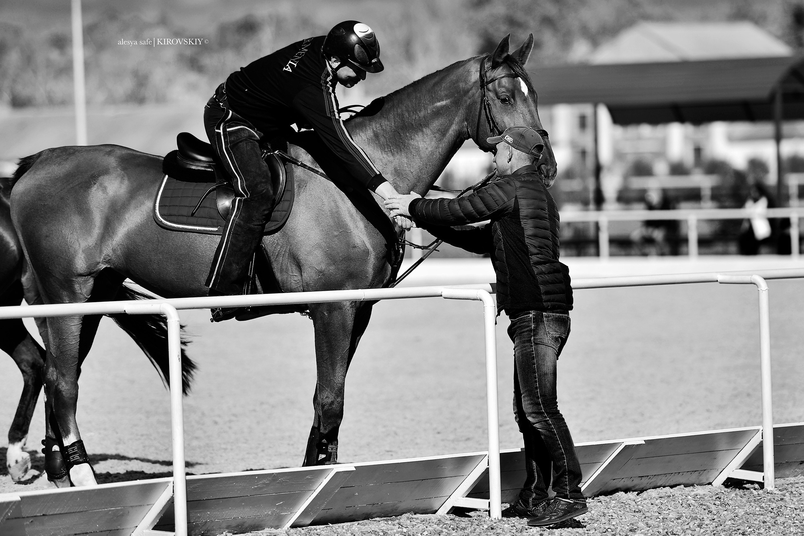 Кировский конный завод. Конный фотограф Alesya Safe