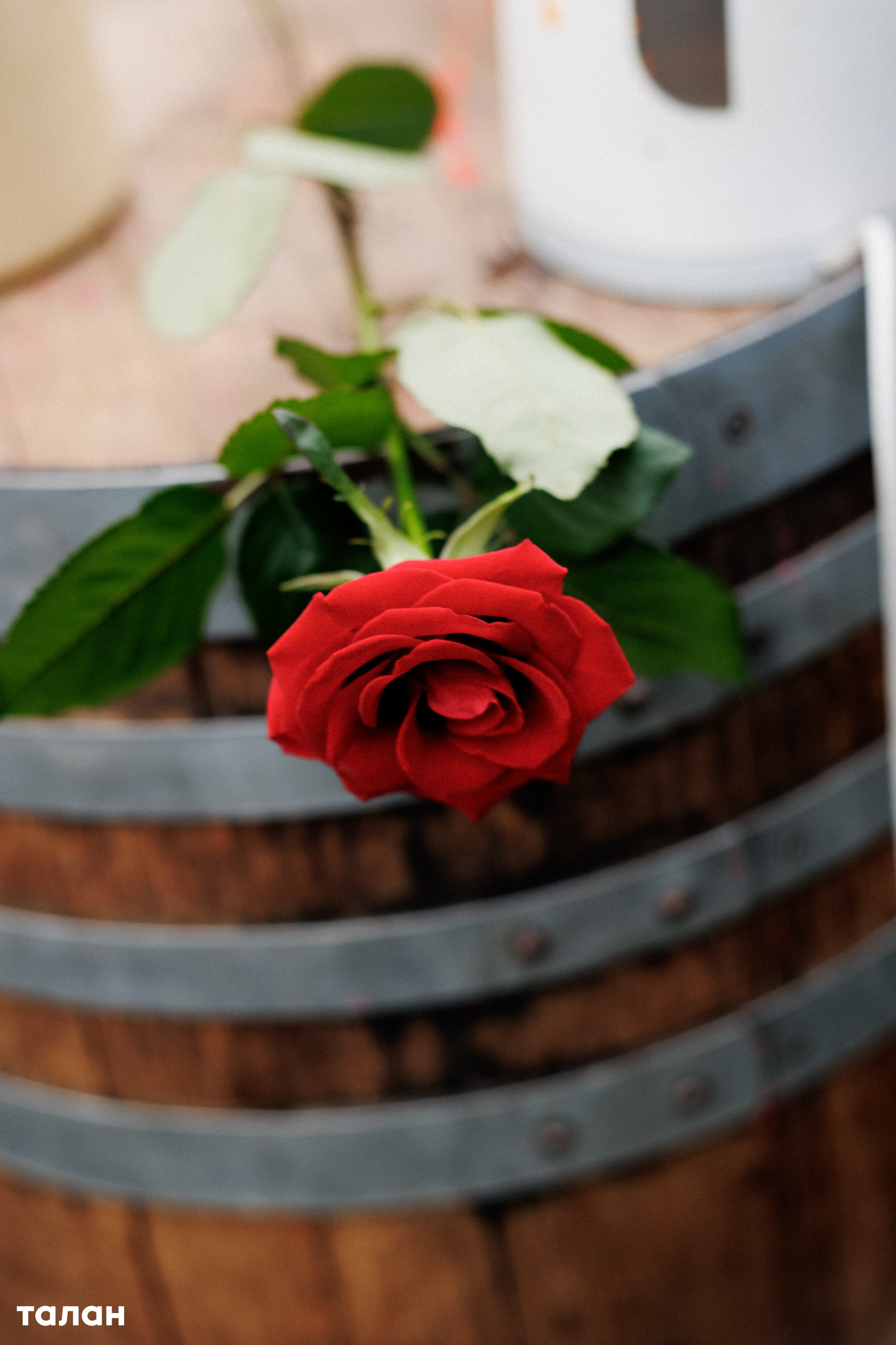 ВИНОТЕКА [бар+магаз] — BIRTHDAY PARTY. СВОИ. ФОТООТЧЕТЫ-СОБЫТИЯ-МЕСТА