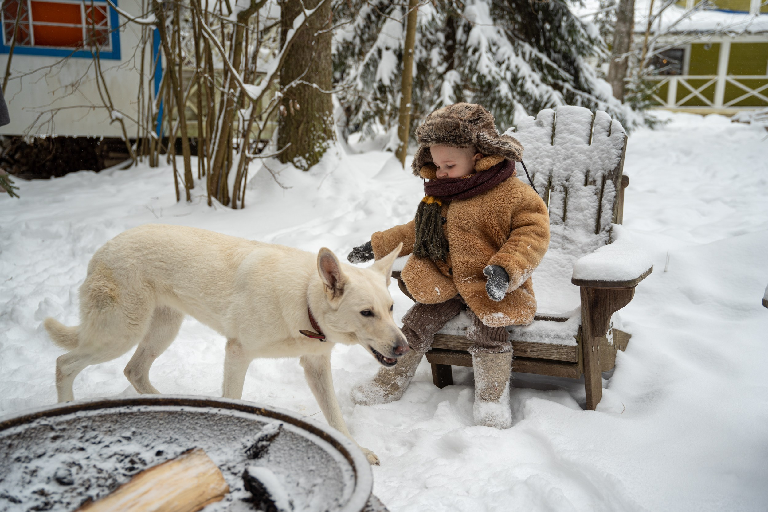 Лесное. Главная
