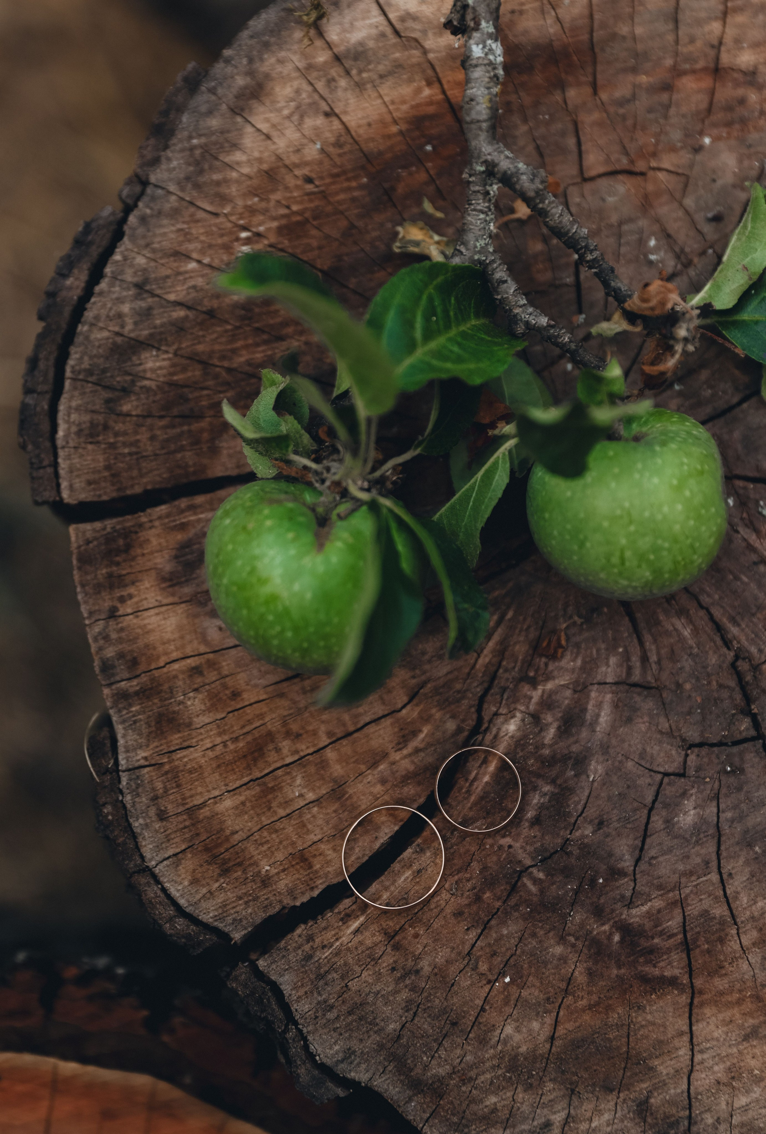 Свадьба Игорь и Оксана. Свадебный и семейный фотограф в Севастополе и Крыму Анастасия Сураева