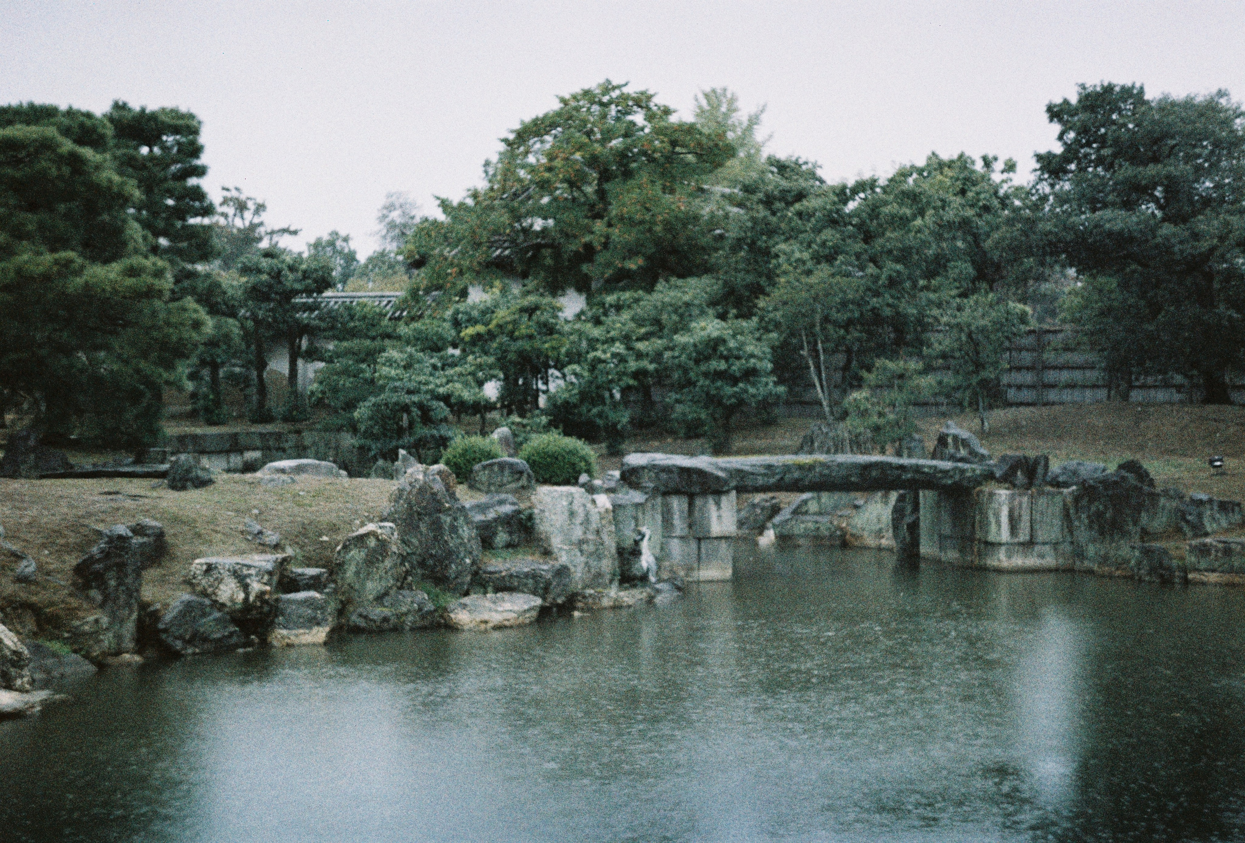 Пленочная фотография в Москве