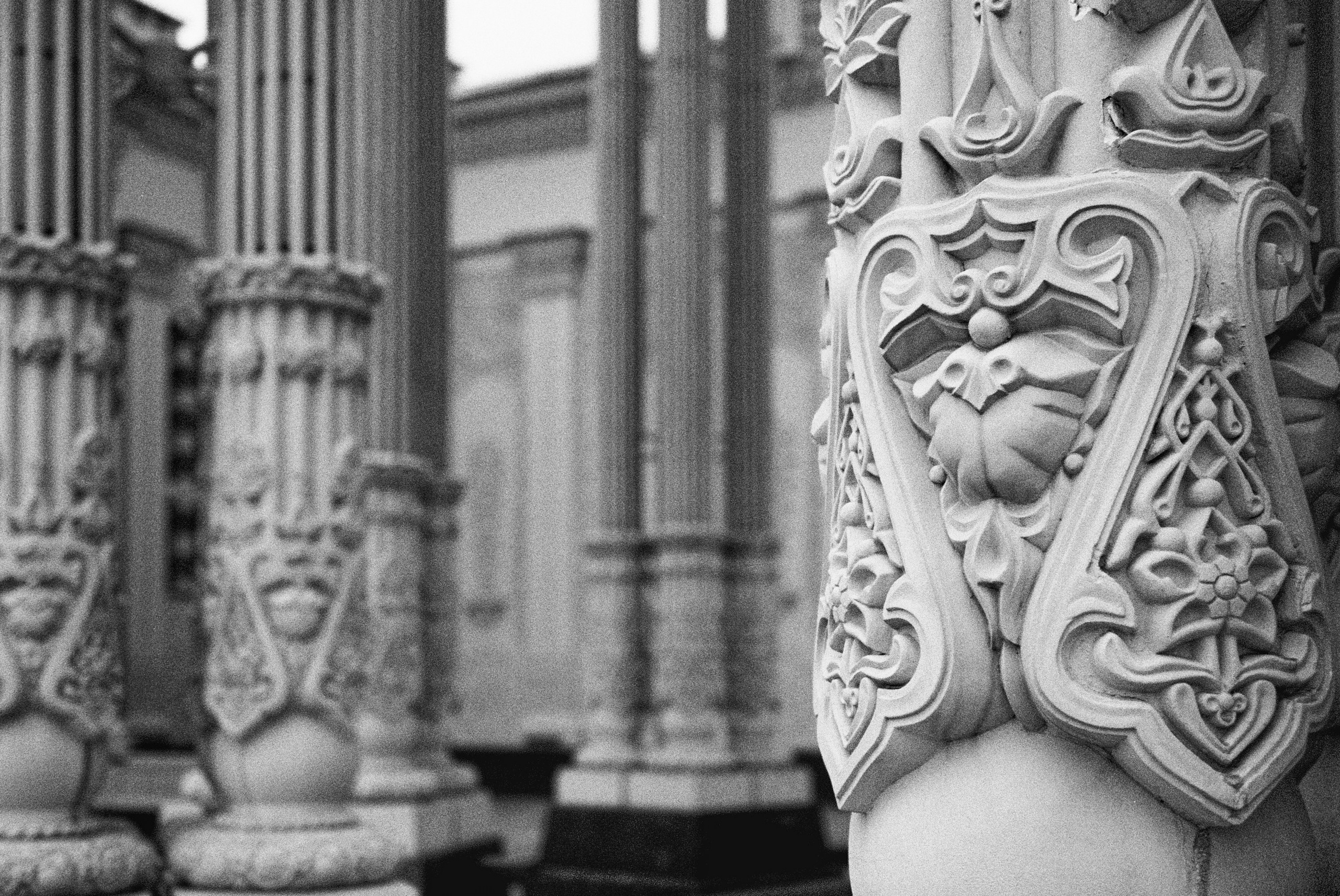Фотосессии на пленочный фотоаппарат Nikon F6