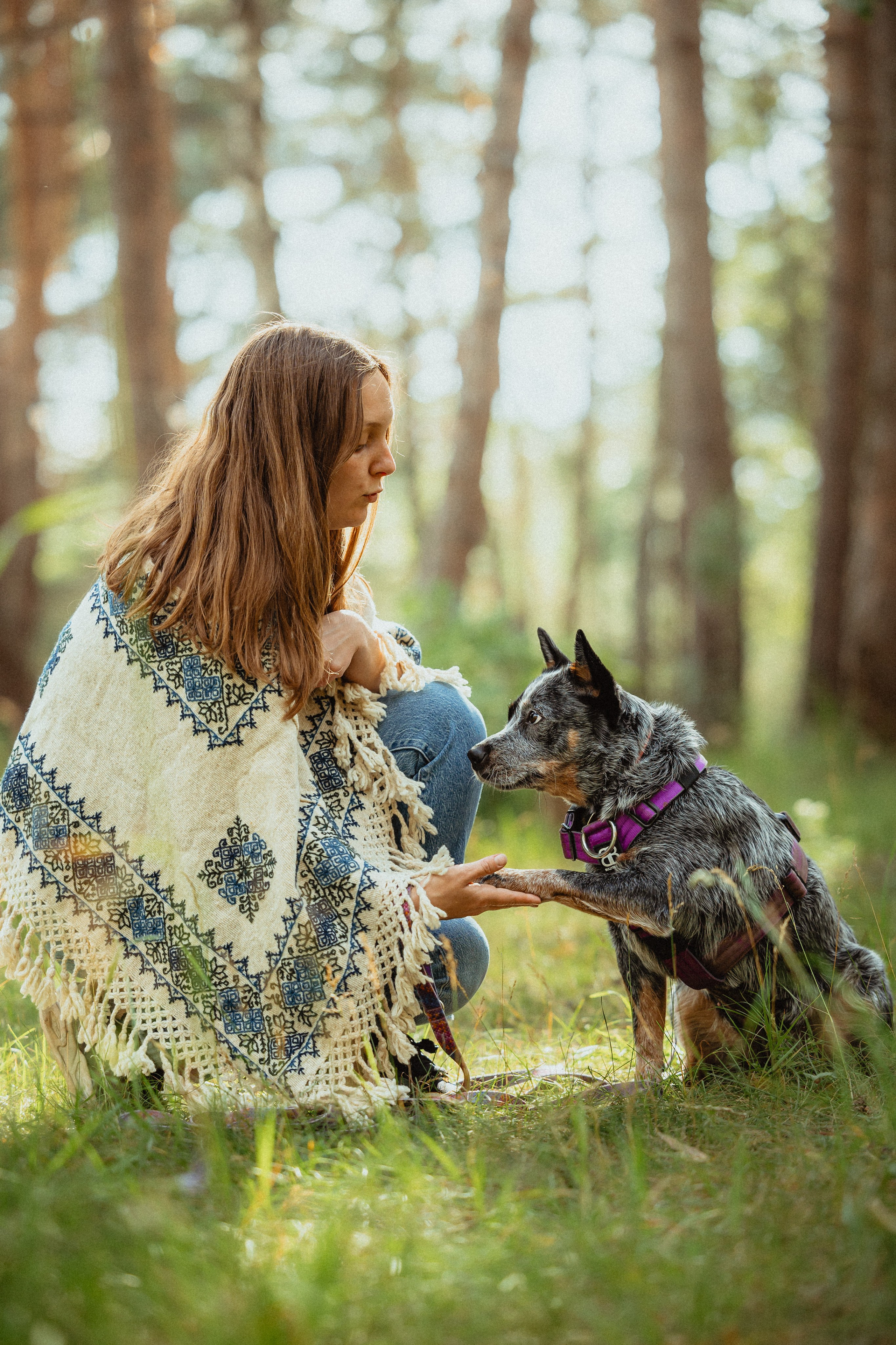 Выездной дог-тренинг от школы «Шерсть имею»