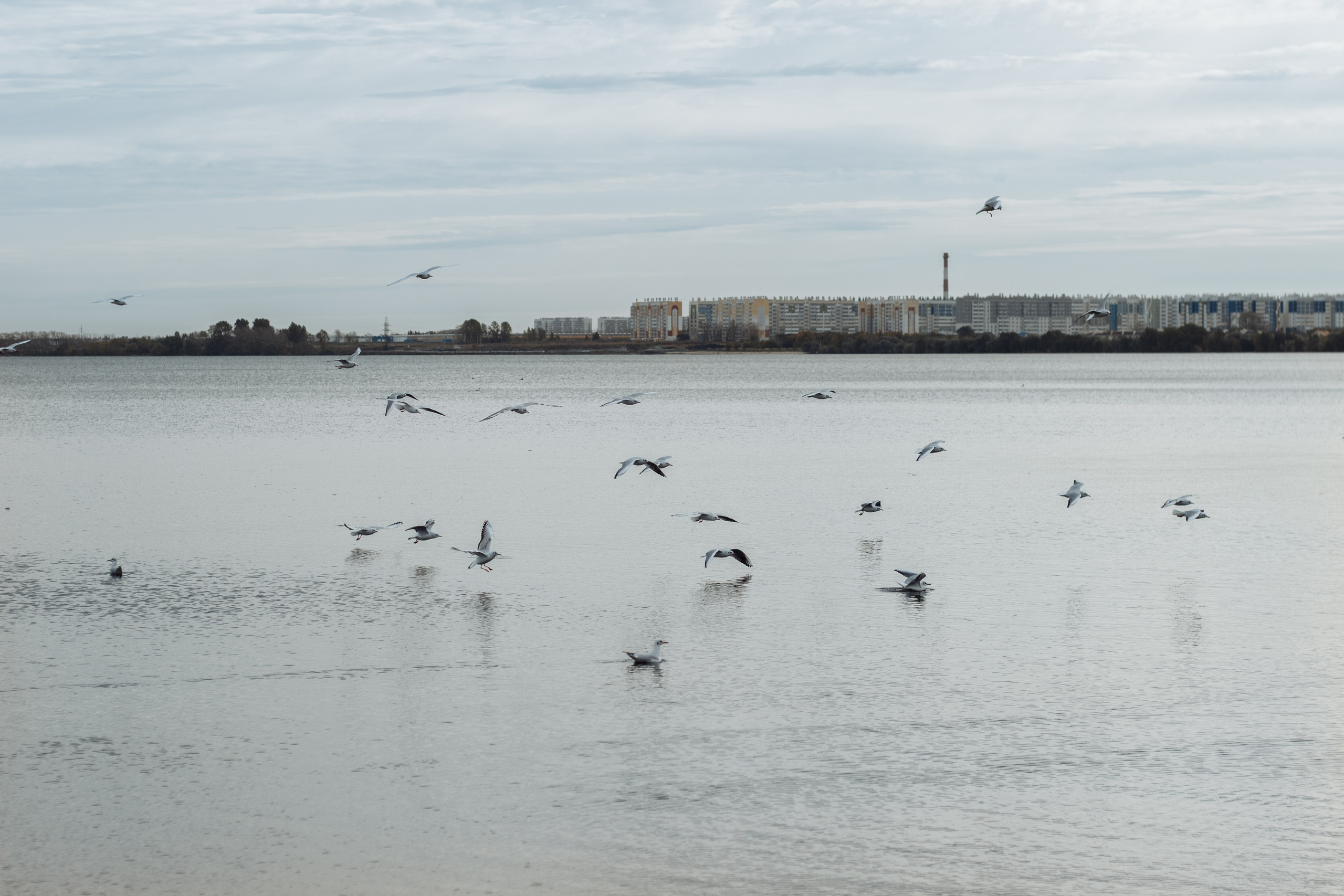 Дарья и Константин. Фотограф в Челябинске Березина Екатерина