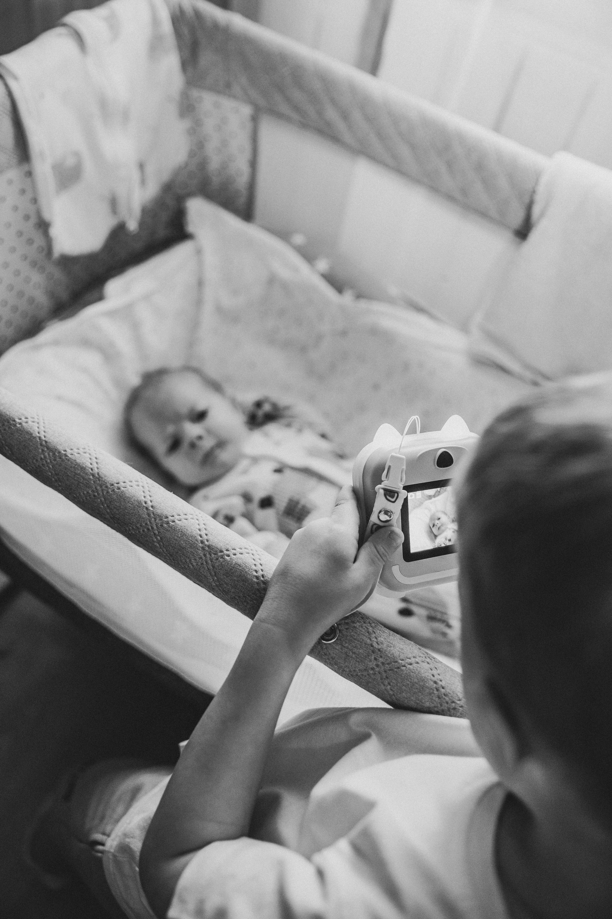 Лев. Фотограф Анастасия Петрова