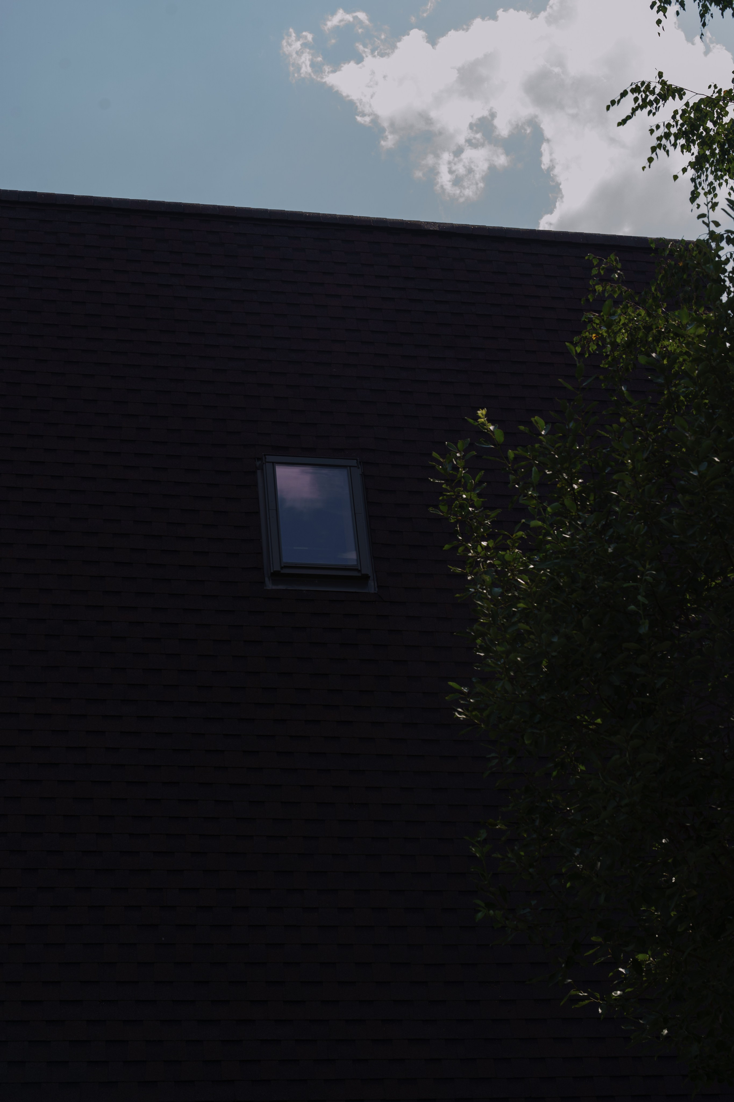 Глемпинг Трофимов берег Москва