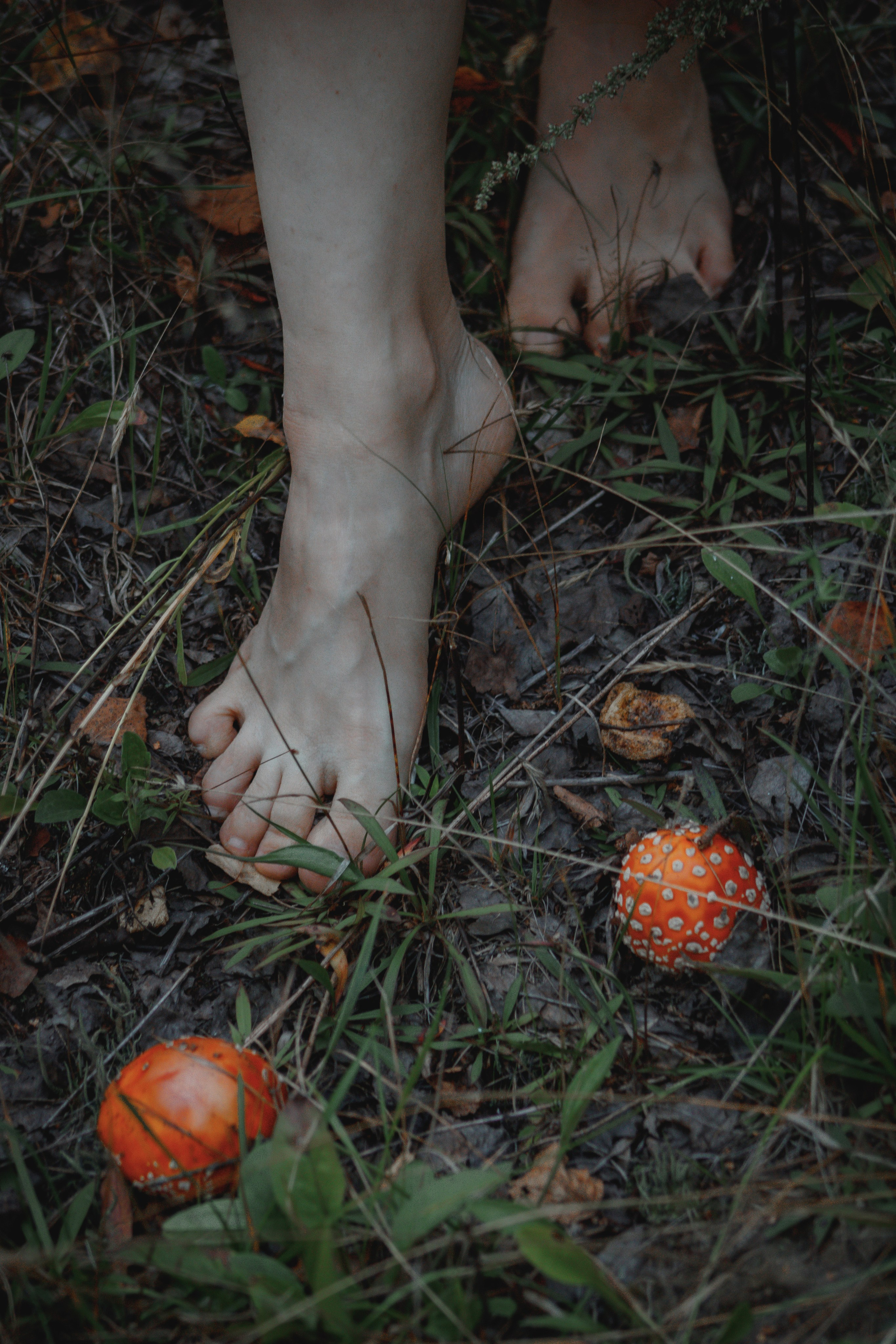 Василиса. Семейный и детский фотограф Настасья Боровкова