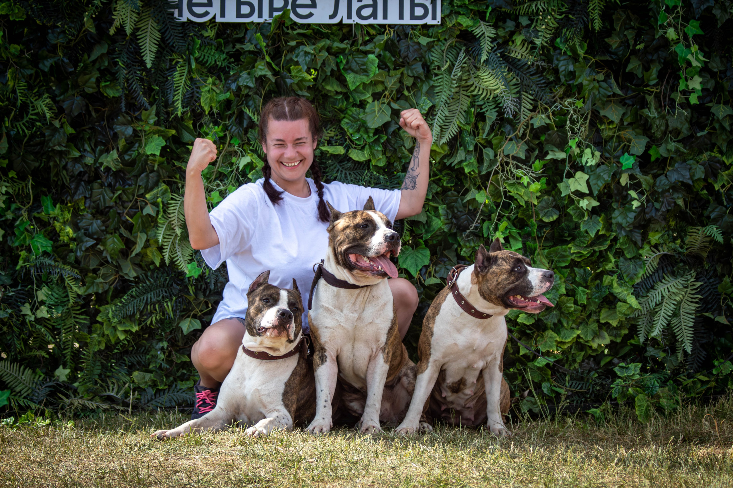 Хвостатый Драйв 2024. Фотограф анималист — Тула, Москва