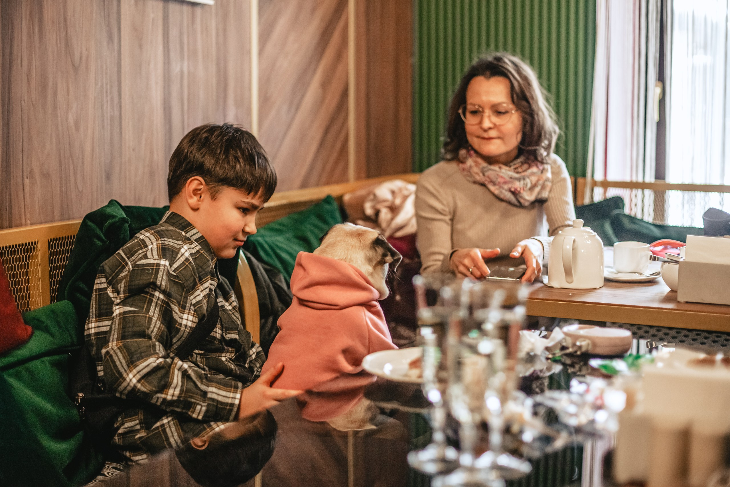 Мопсовстреча 02.12.2023. Фотограф-анималист Татьяна Степанова