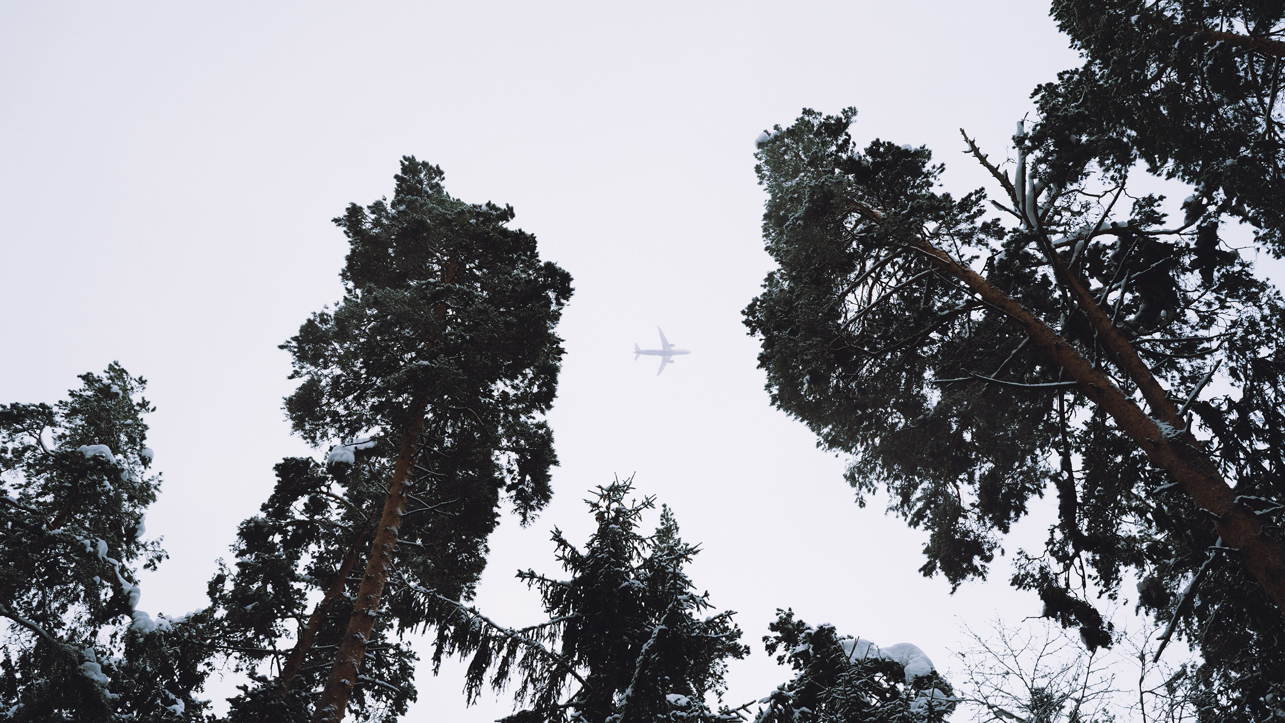 Январь. Komonev