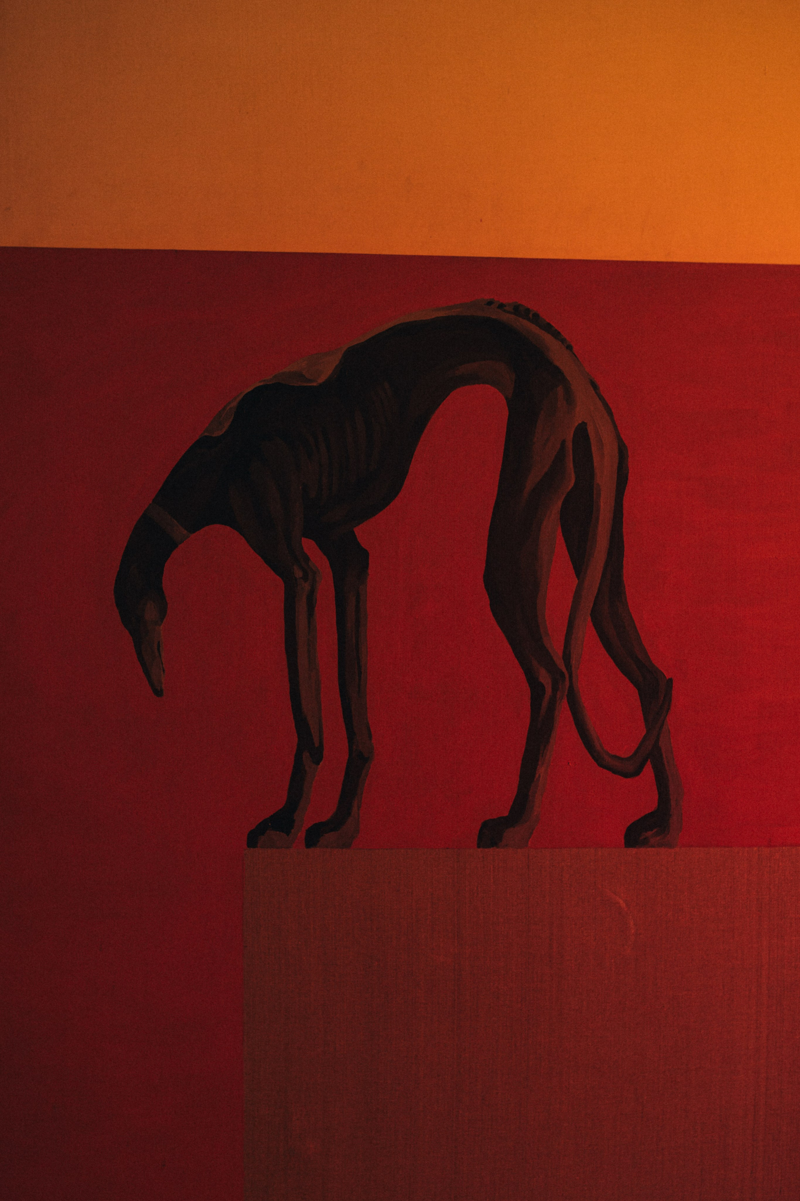 Портфолио. Свадебный фотограф Москва Виктория Васильева