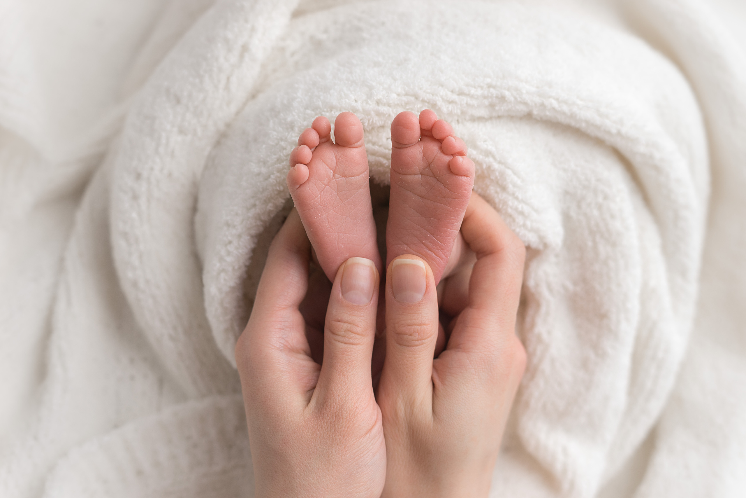 Новорожденные. Фотограф в Новосибирске