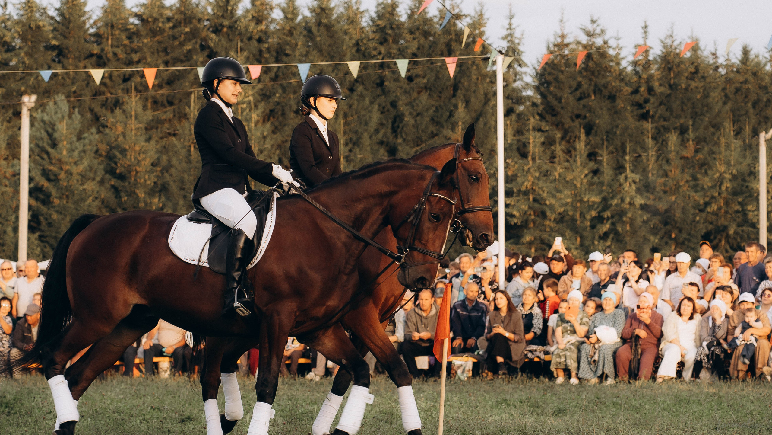 День Коня. Алиса Никитцова | Фотограф в Казани