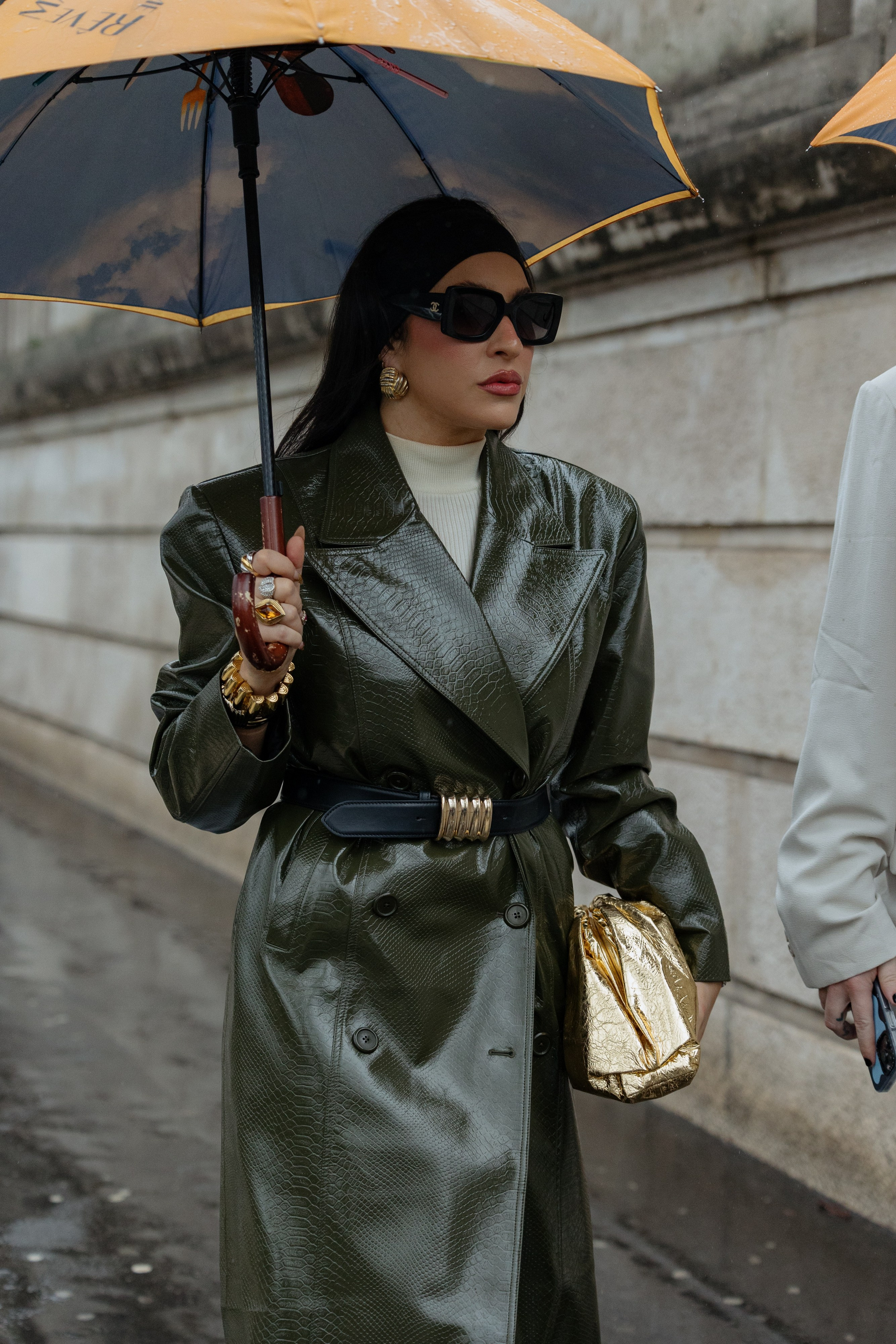 ELIE SAAB PFW WOMENSWEAR FALL-WINTER 24/25. Photographer in Milan Ivan Goncharov