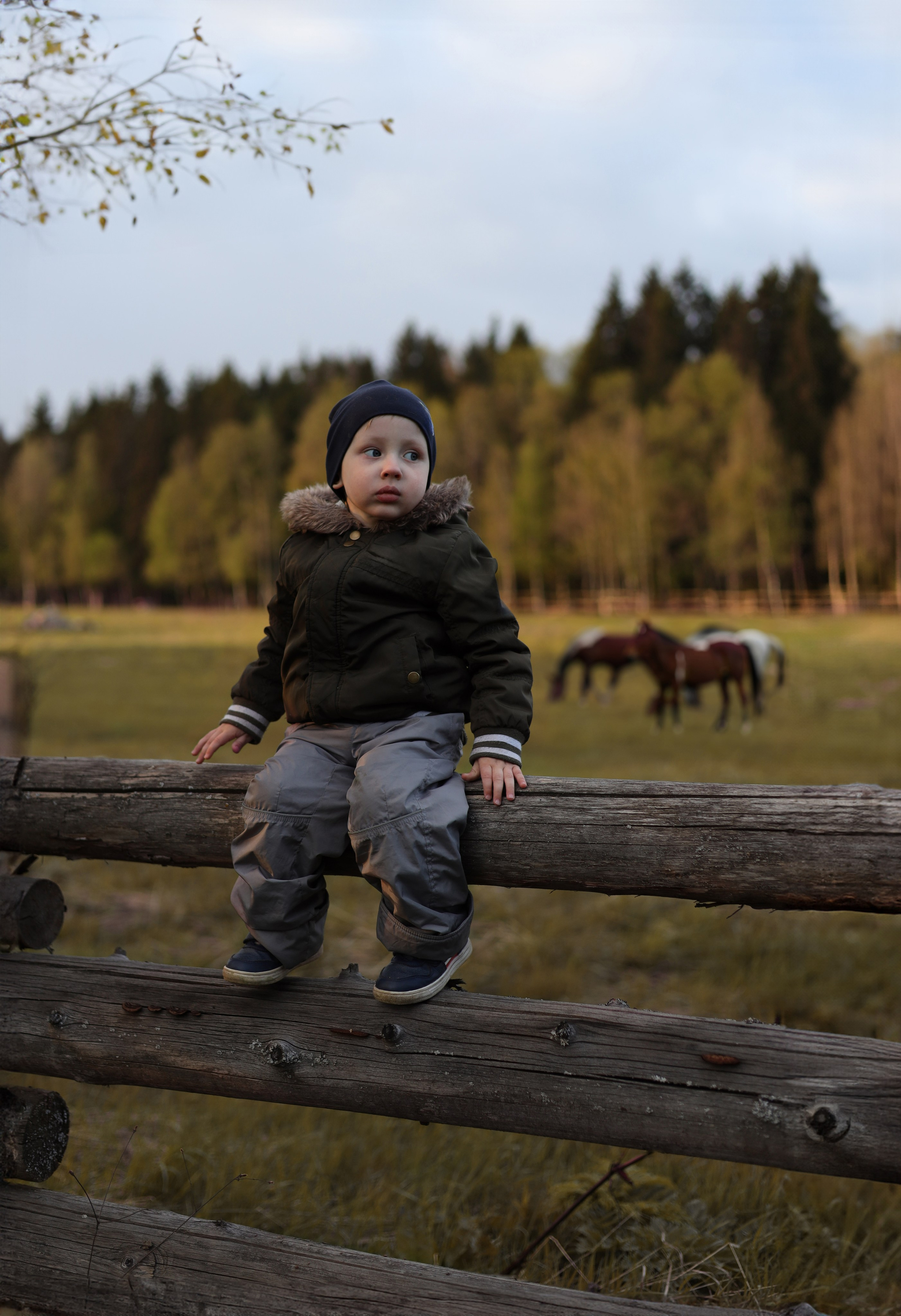Портфолио. Индивидуальный фотограф в Сергиевом Посаде Наталья Румянцева