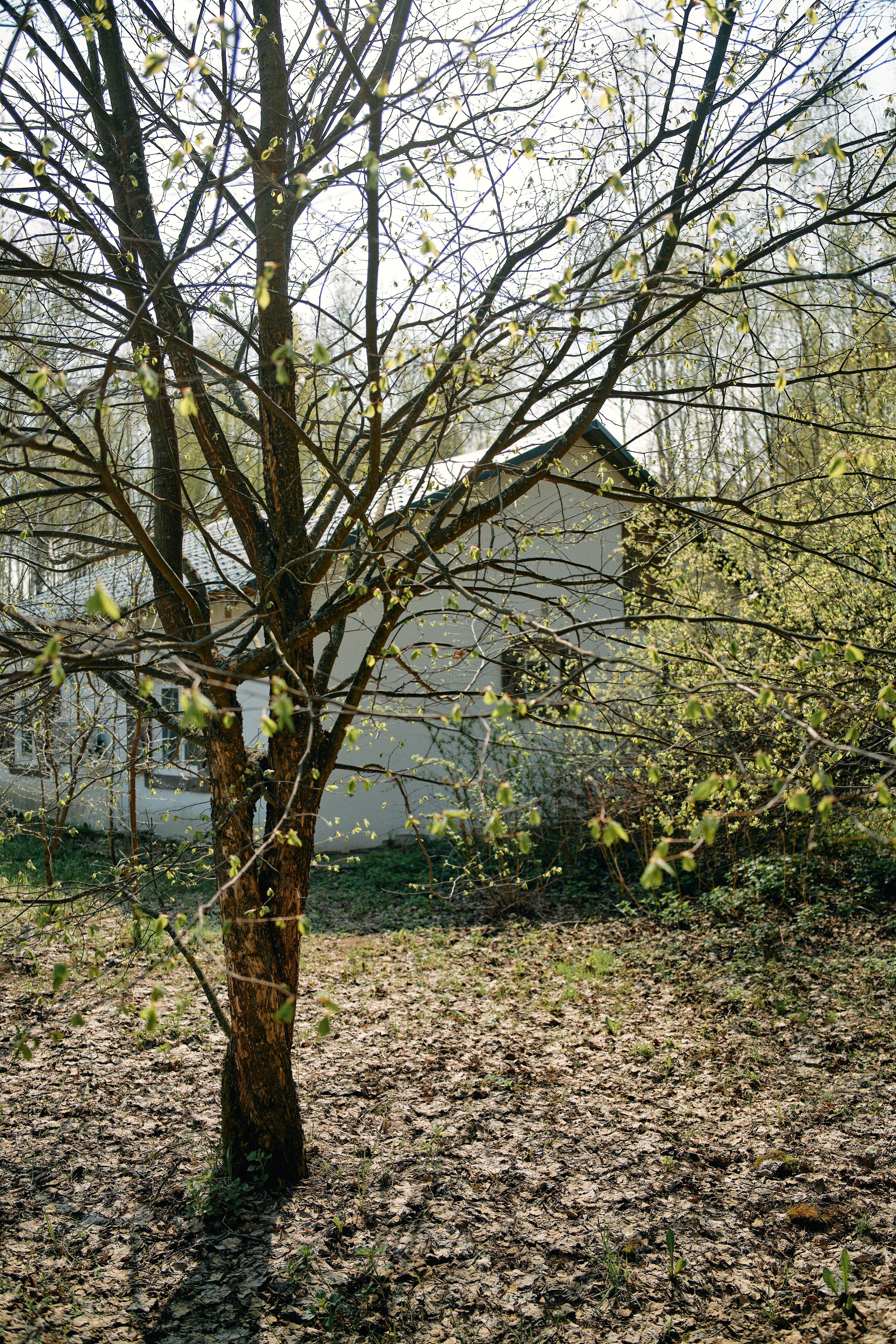 Бутик-отель Поле летом. Профессиональный Фотограф во Владимире, в Москве и в Суздале — Полина Романычева