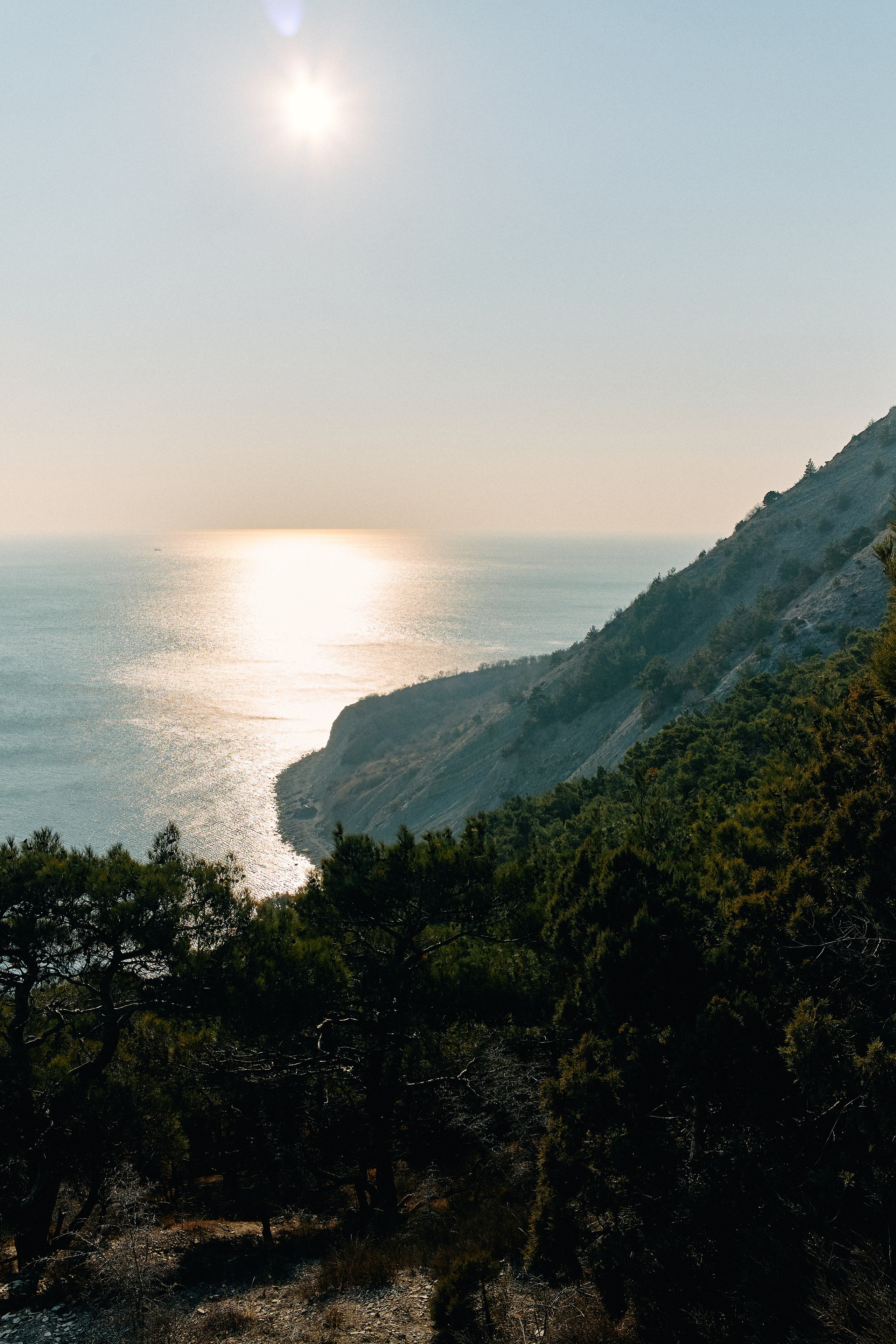 Юг России. Профессиональный Фотограф во Владимире, в Москве и в Суздале — Полина Романычева