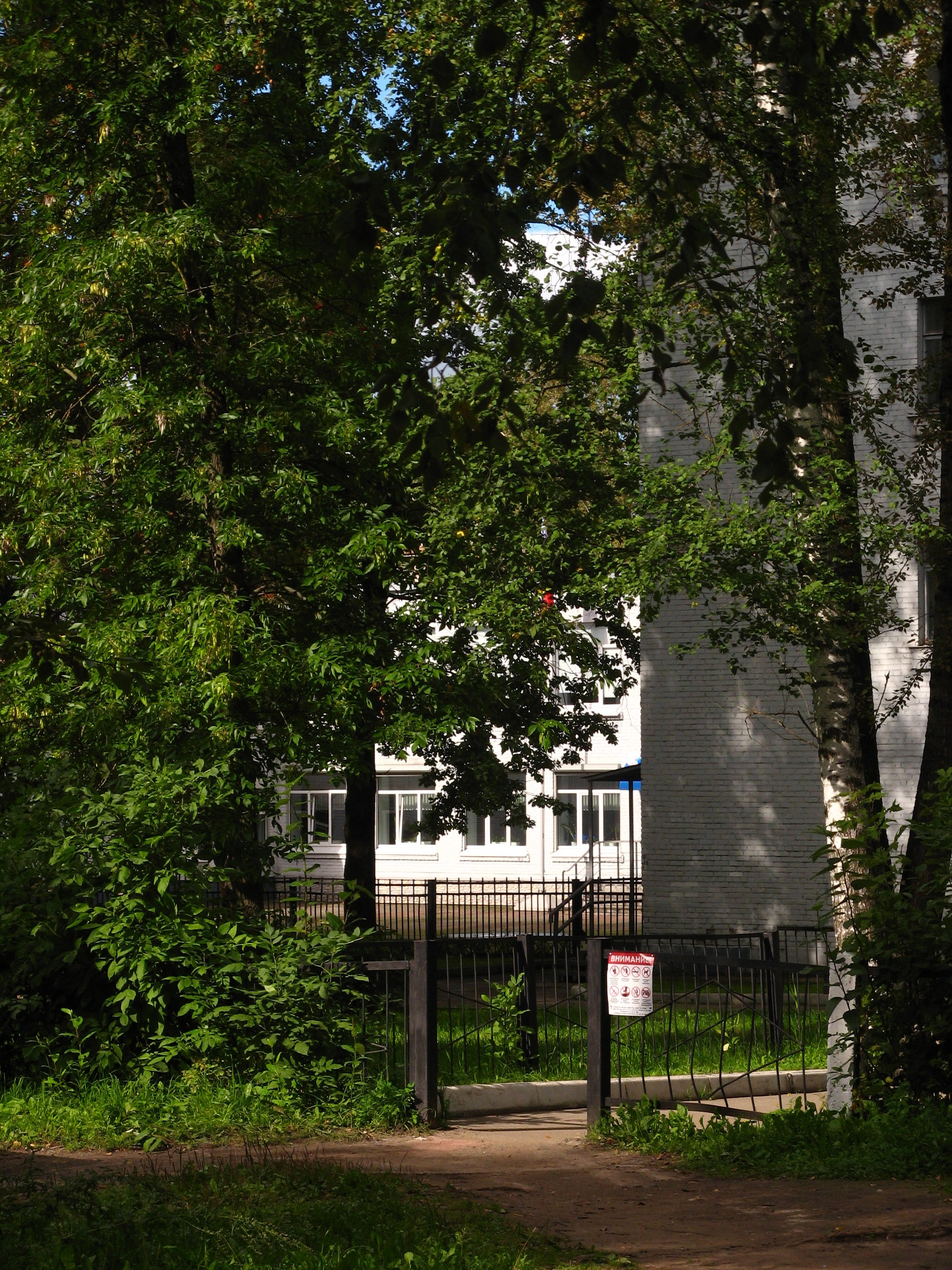 Сентябрь 2025. Den Mirov — Фотограф, Музыкант