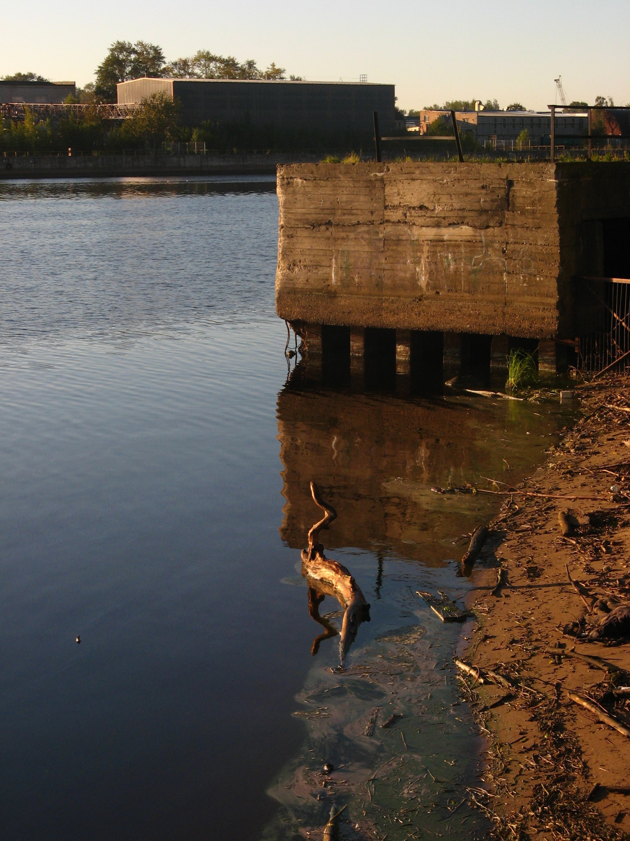 Сентябрь 2025. Den Mirov — Фотограф, Музыкант