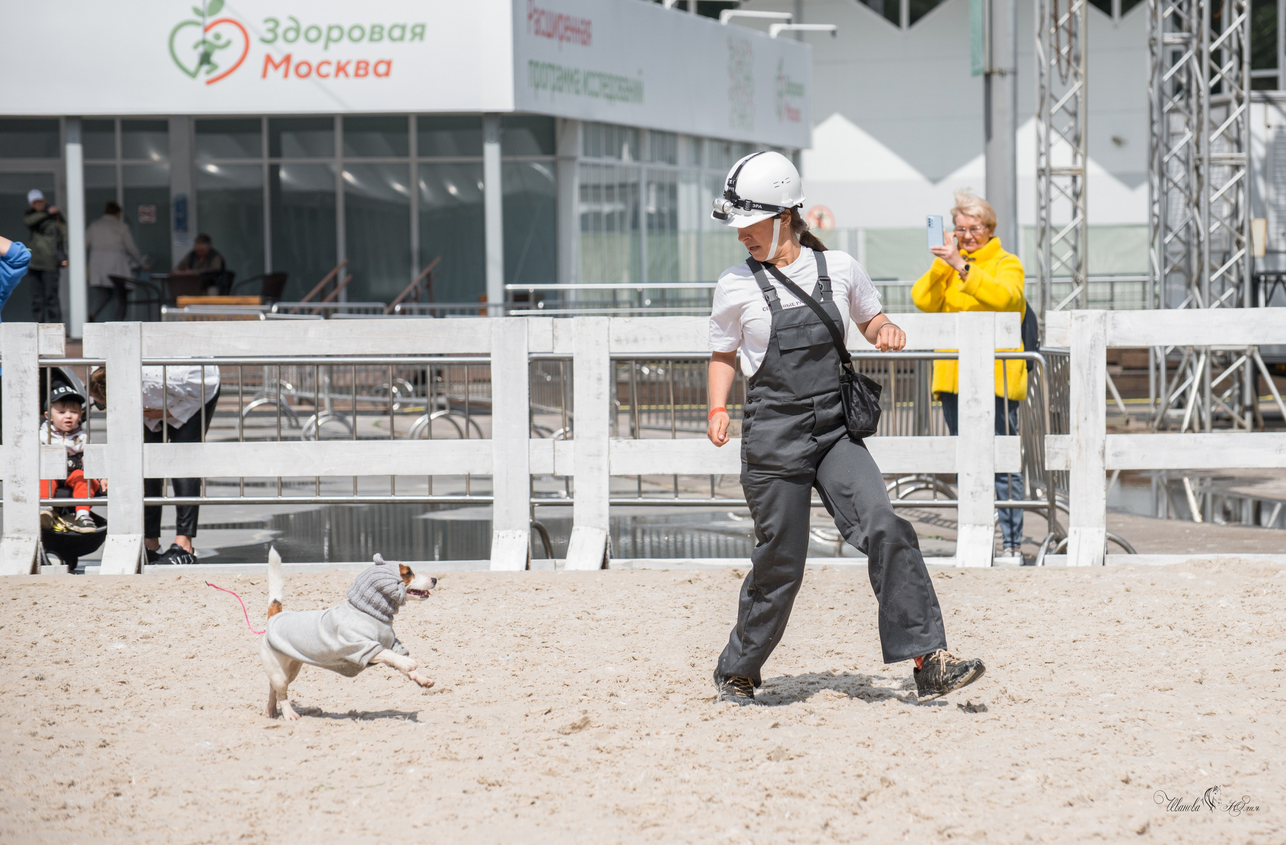 Эквирос, Москва. Конный фотограф в Саратове Юлия Иванова