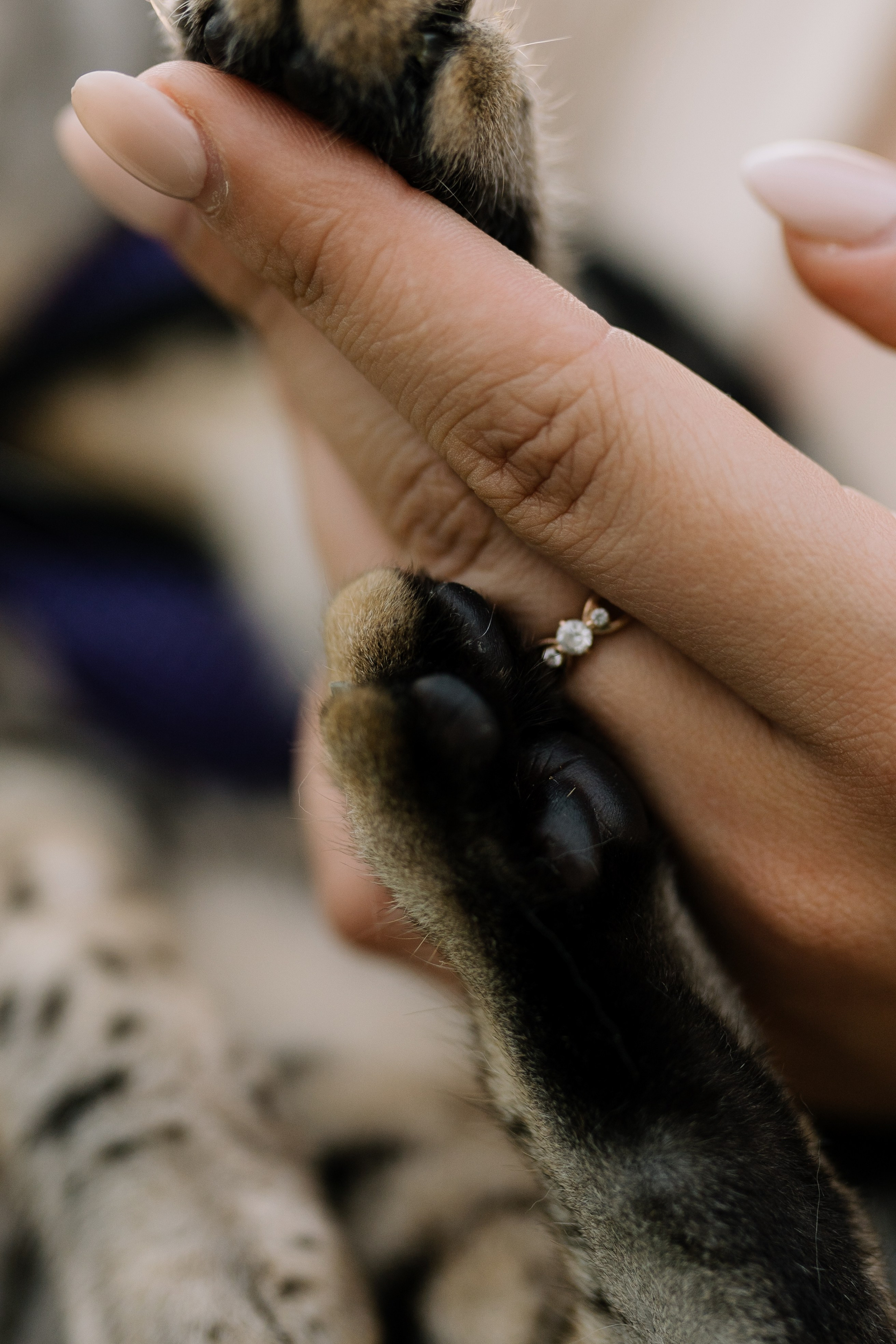 Диана и Элис