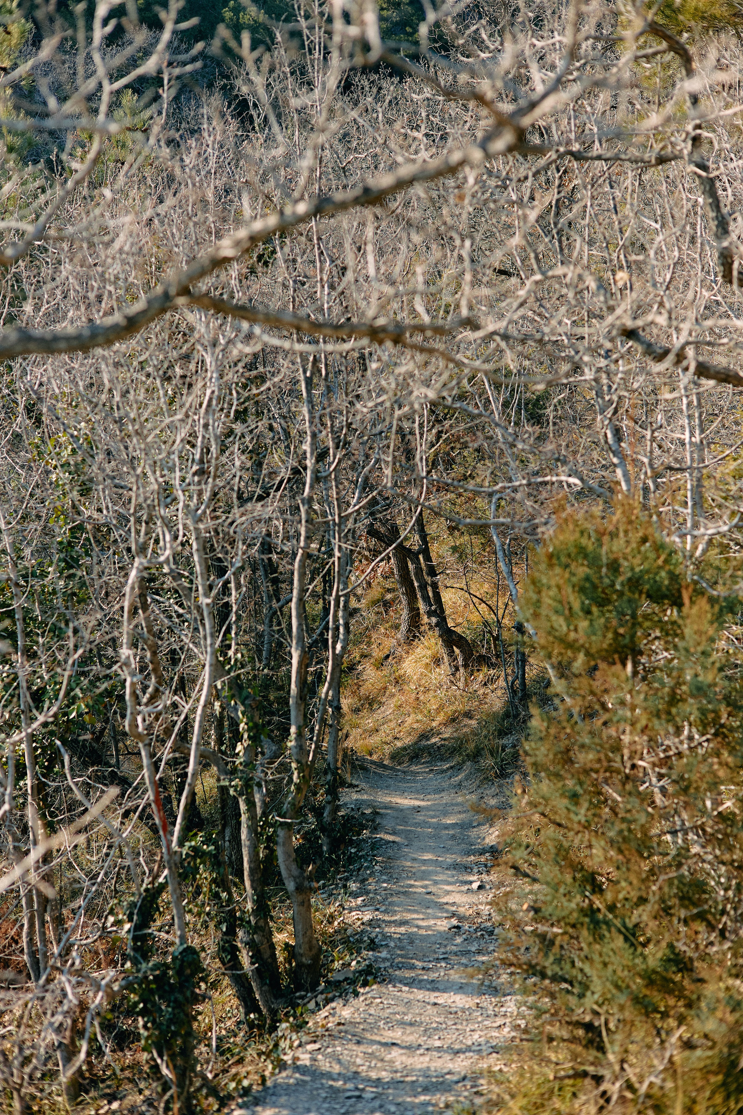 Юг России. Профессиональный Фотограф во Владимире, в Москве и в Суздале — Полина Романычева