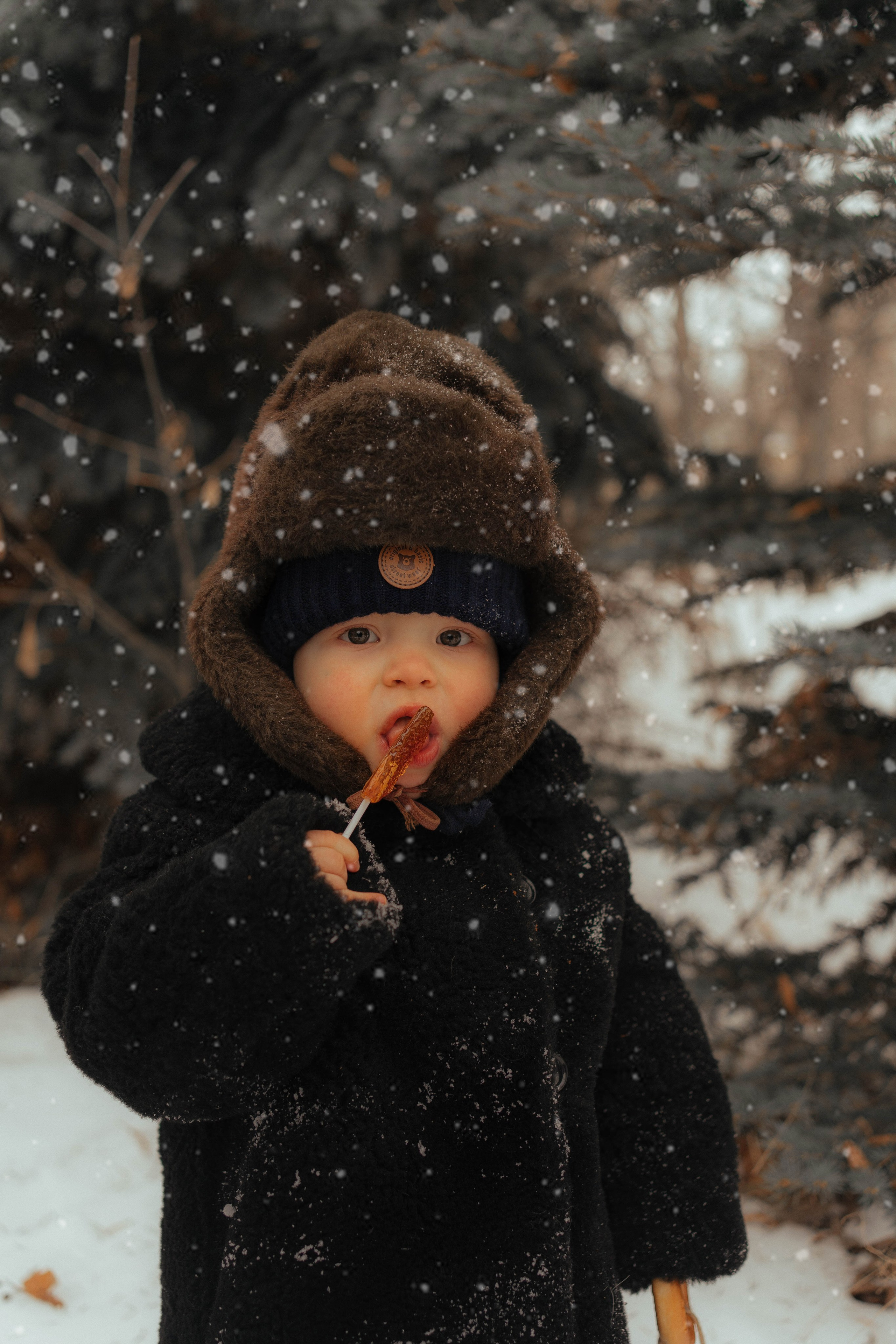 Фотопроект «Зимний лес». Семейный и детский фотограф новорожденных Ульяновск