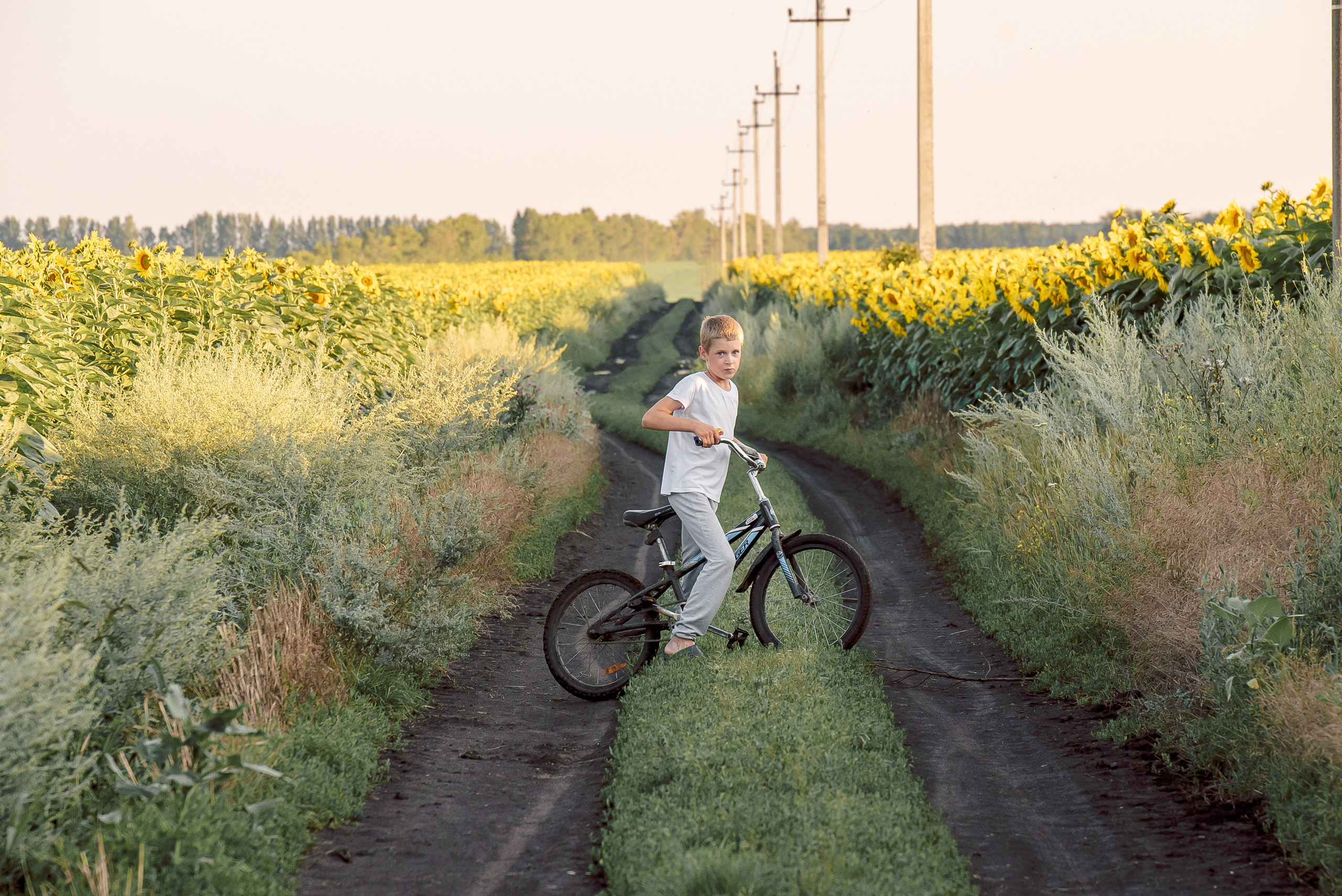 Истории. Свадебный и семейный фотограф в Белгороде Анастасия Рафальская