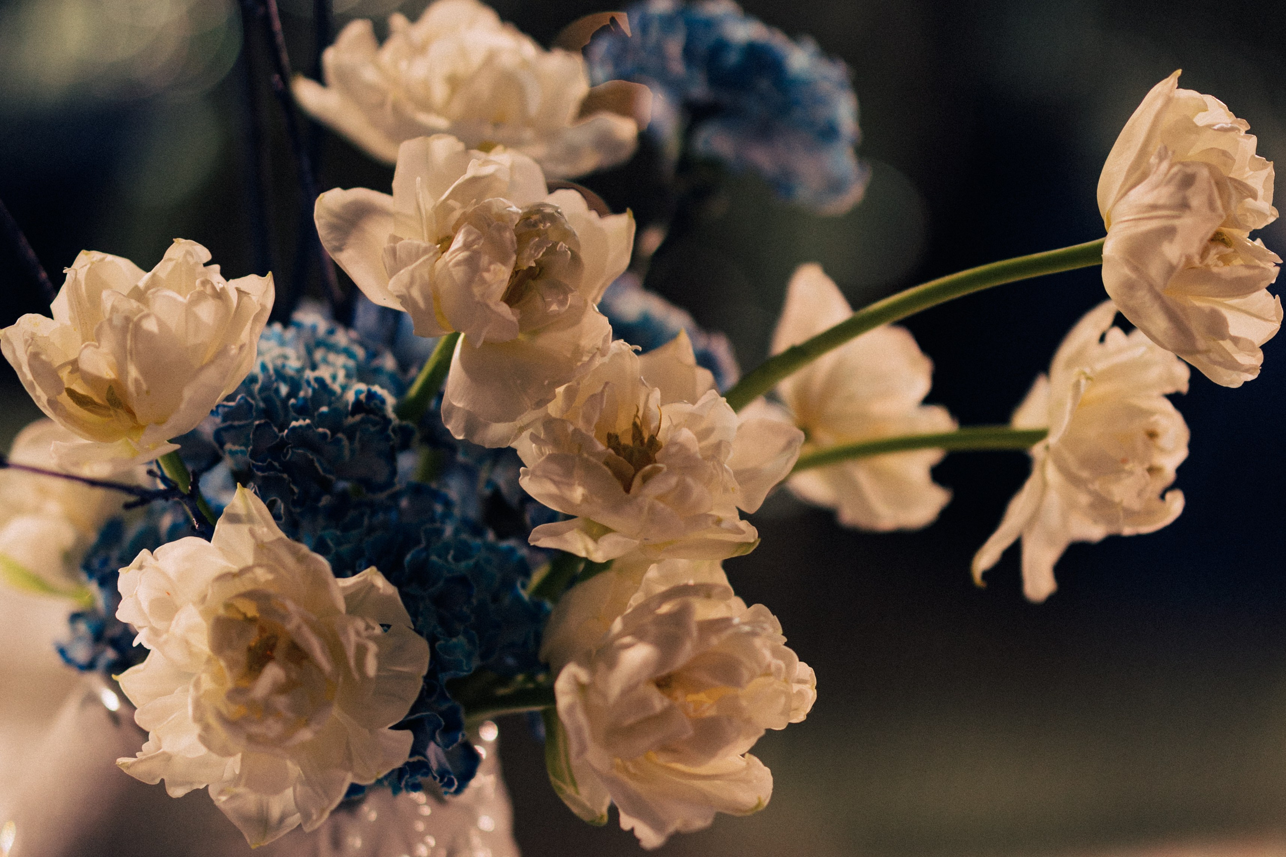 Диана и Тимур. Daria Chigintseva Photographer