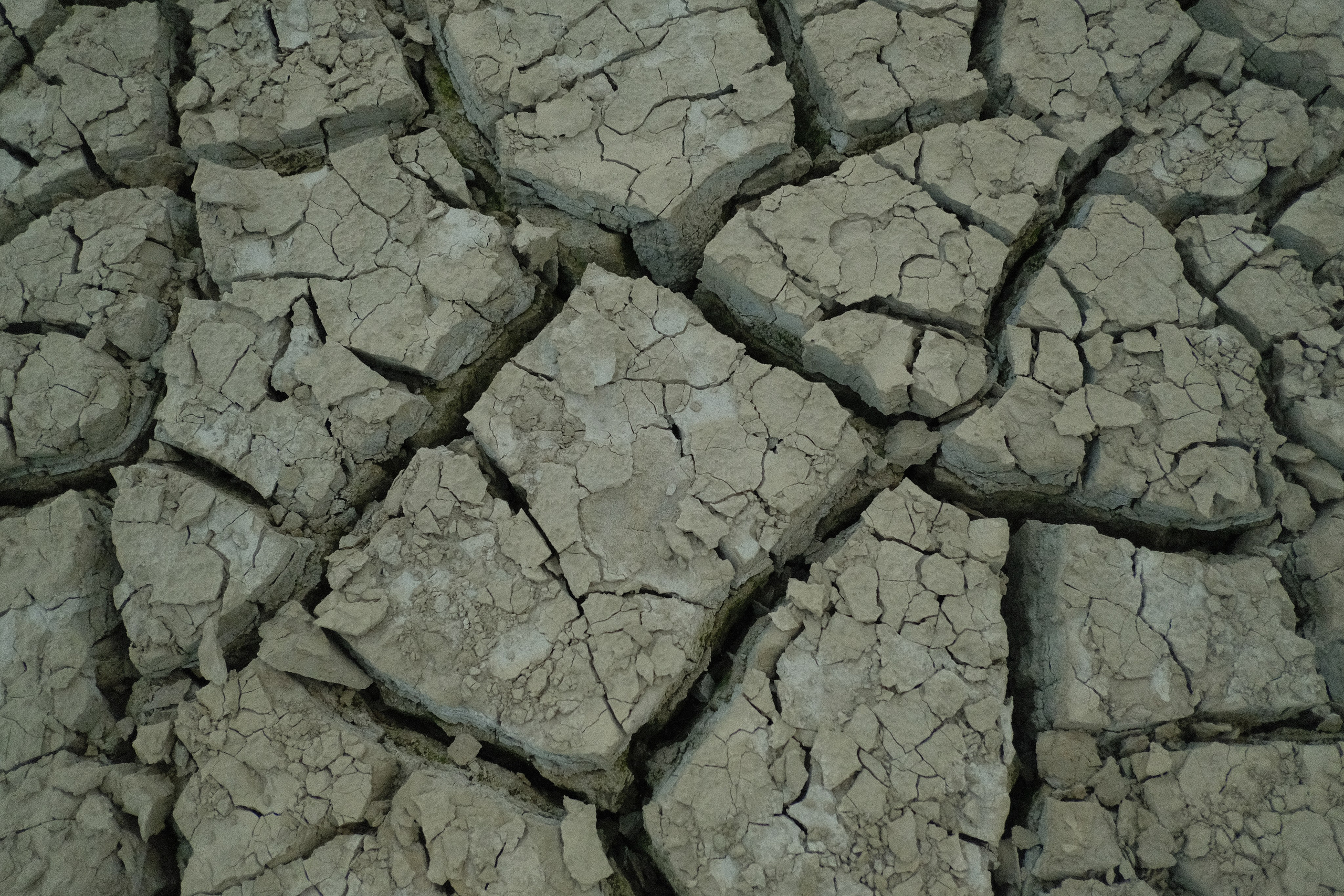 Света. Женский и семейный фотограф в Краснодаре и крае Таня Мустафина