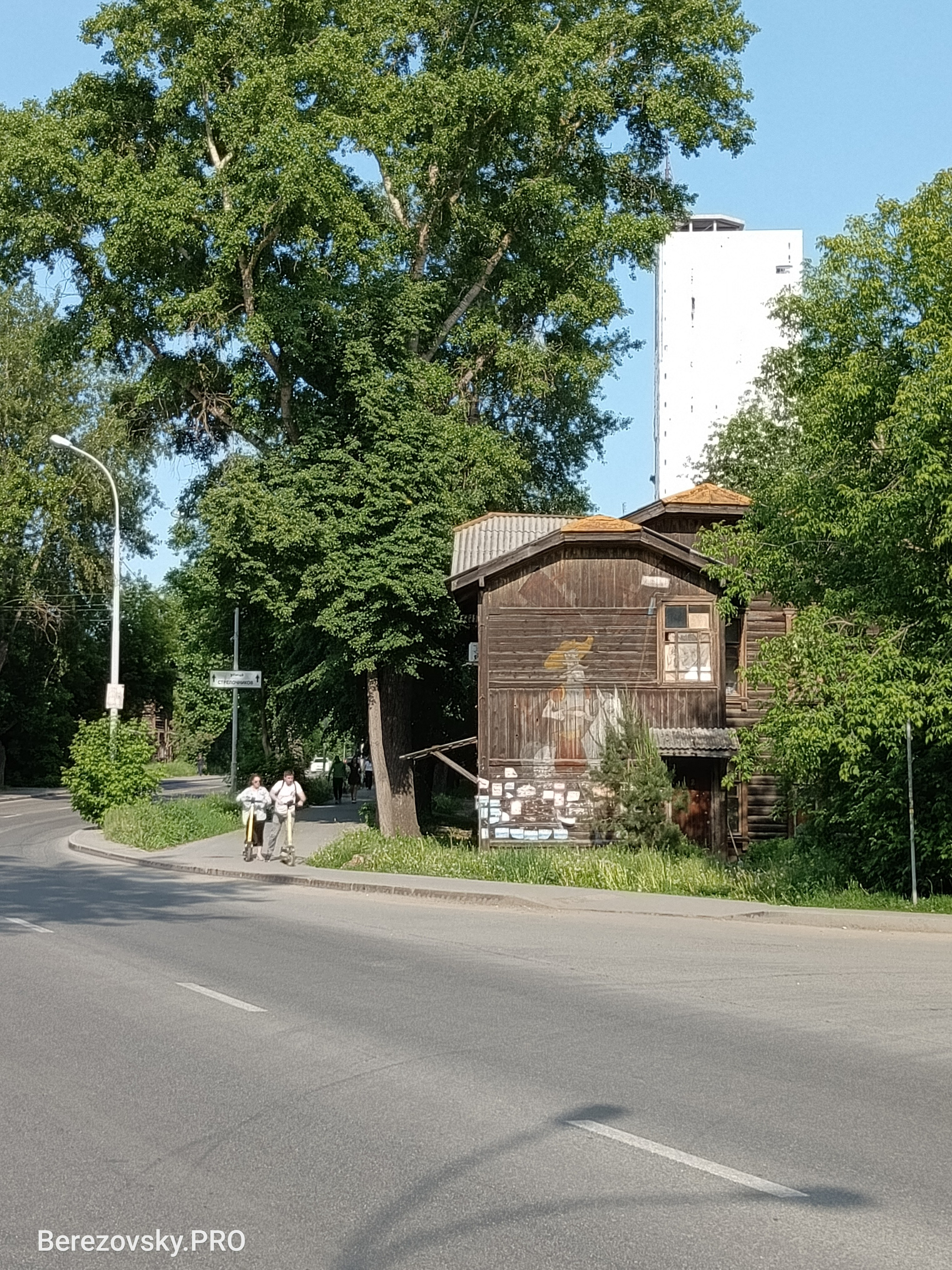 Солнечный. Фотограф в Санкт-Петербурге Березовский Даниил