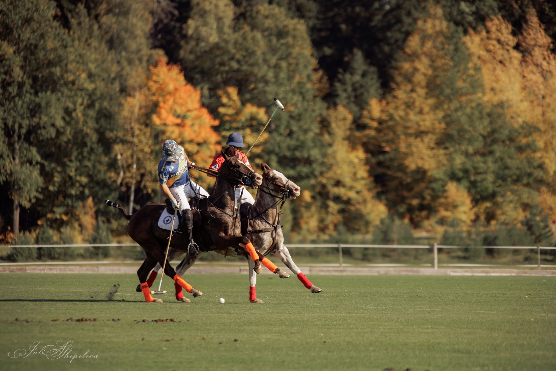Осенний кубок по конному поло. Детская Конная фотография в Москве Юлия Шепелева