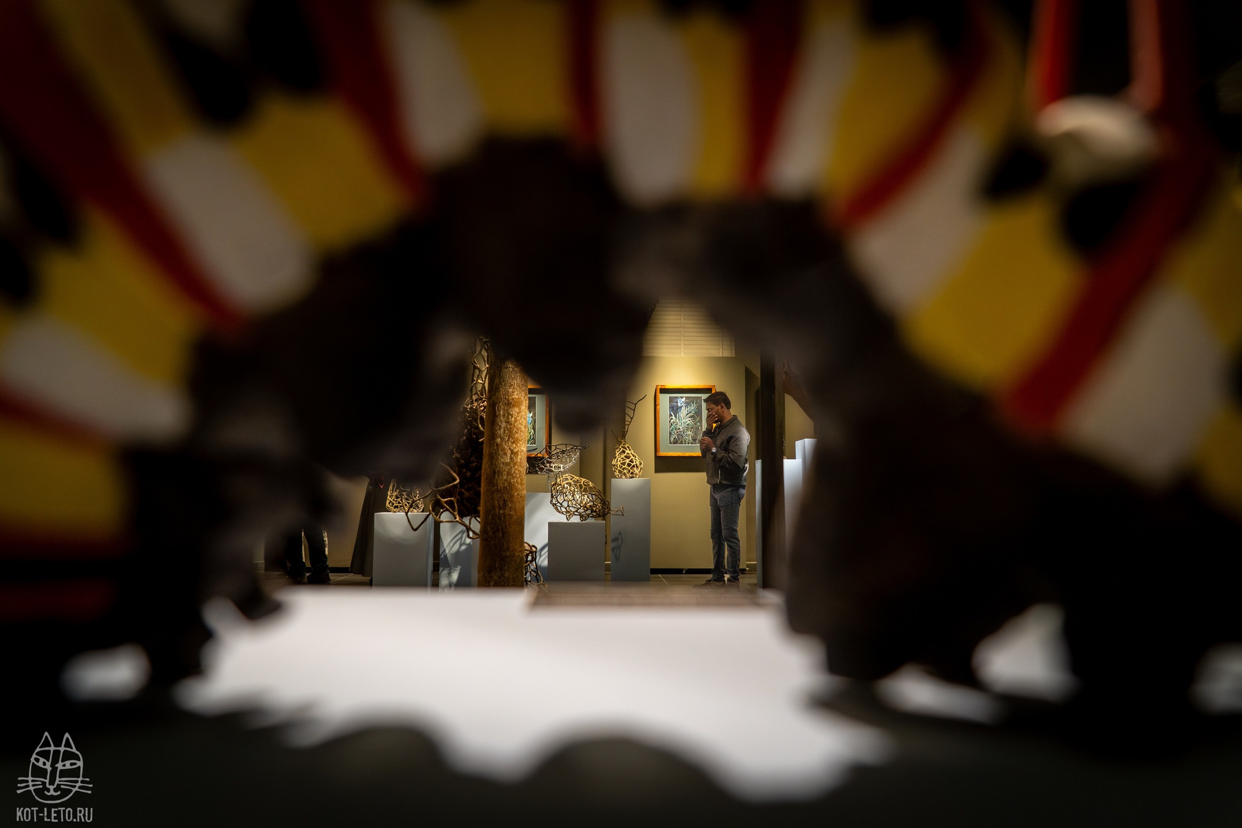 Exhibition BIOPHILIA (Goa). Твой фотограф — Полосатый кот