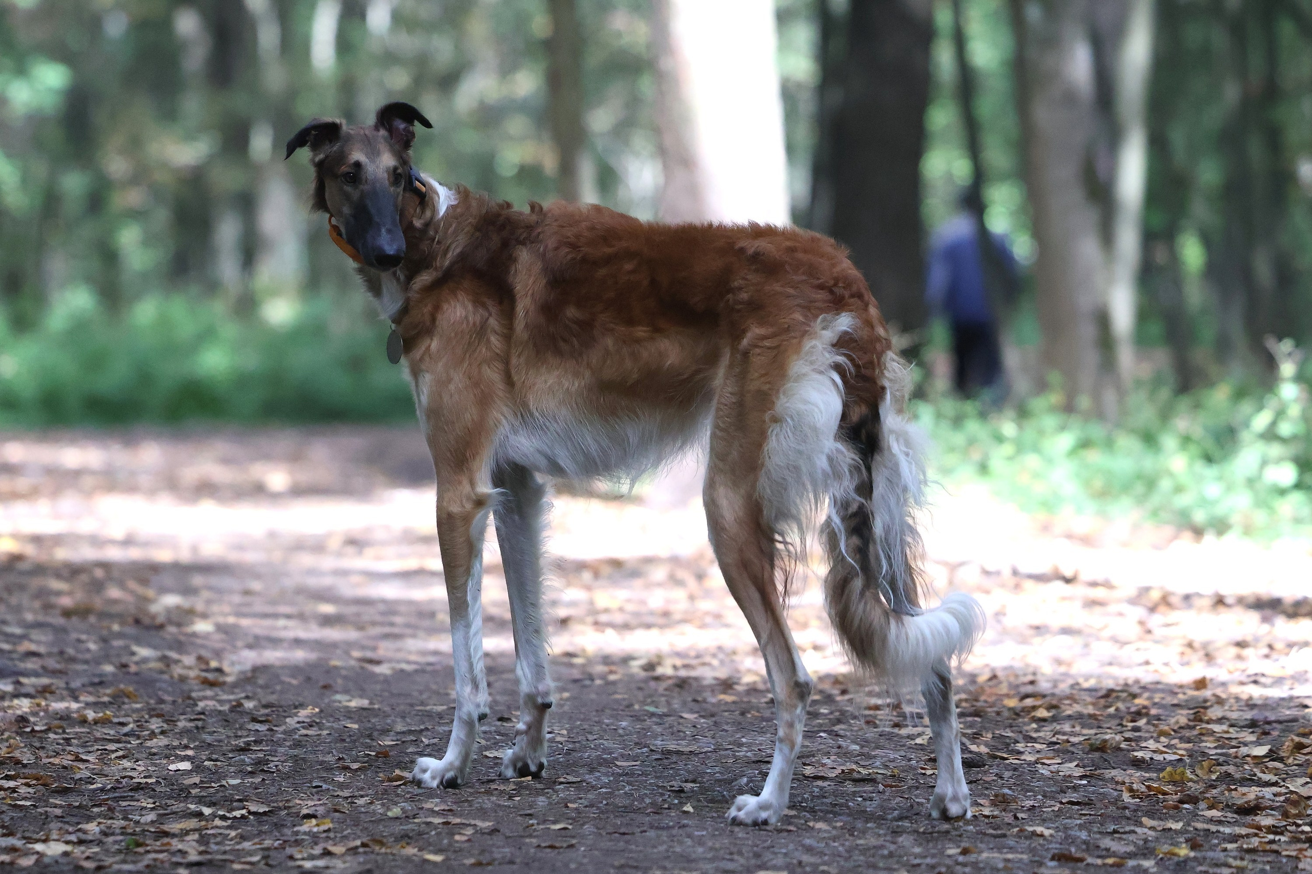 Backyard Ultra Moscow. Спортивный и репортажный фотограф Ермакова Светлана
