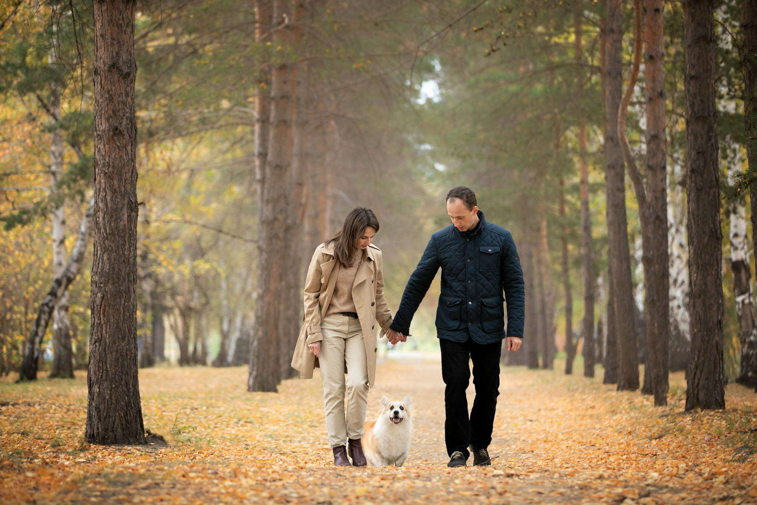 Выездная съёмка с естественным светом. Фотограф-анималист в Омске Екатерина Маричева