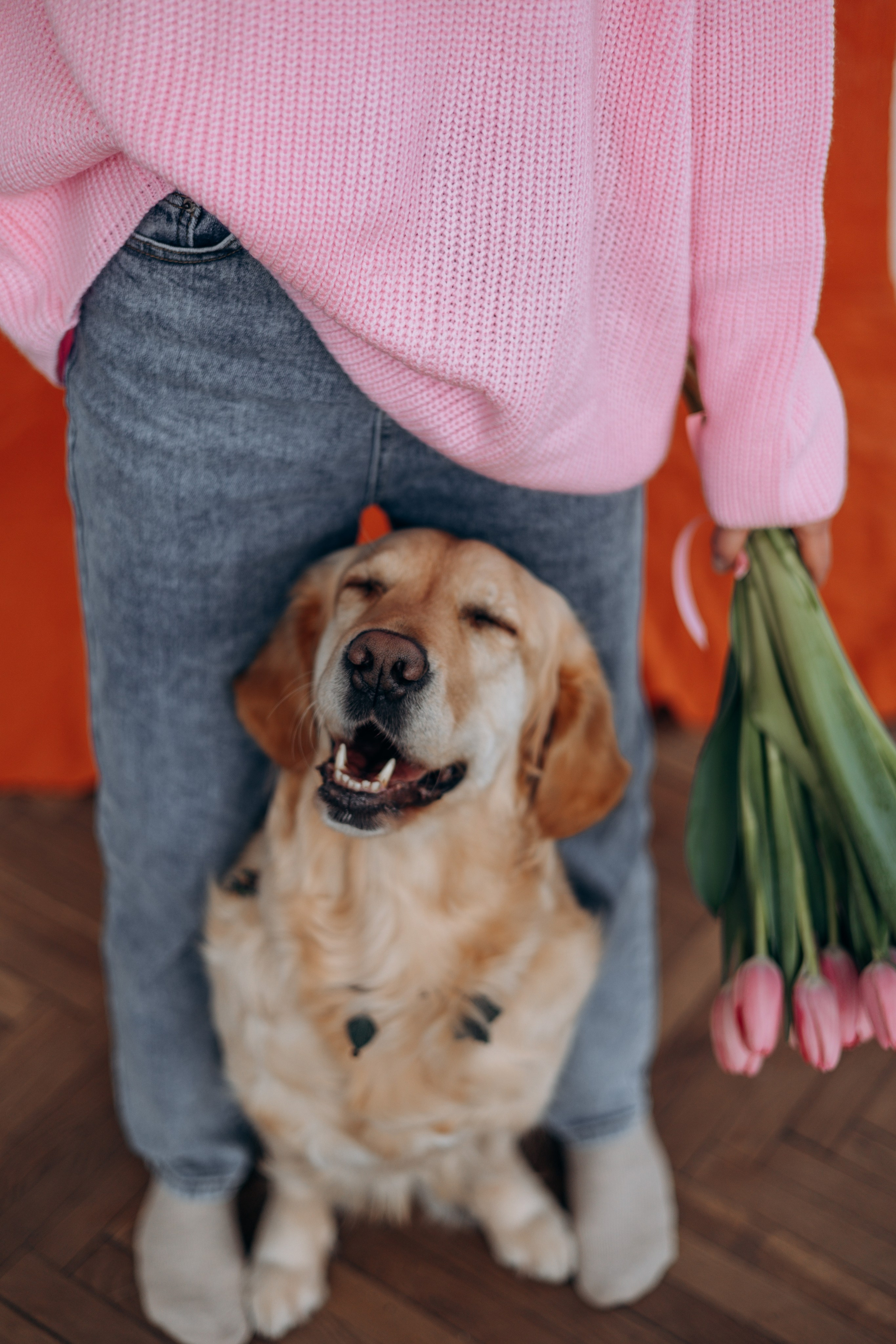 Марина и Чили. Фотограф — Анималист | Санкт-Петербург