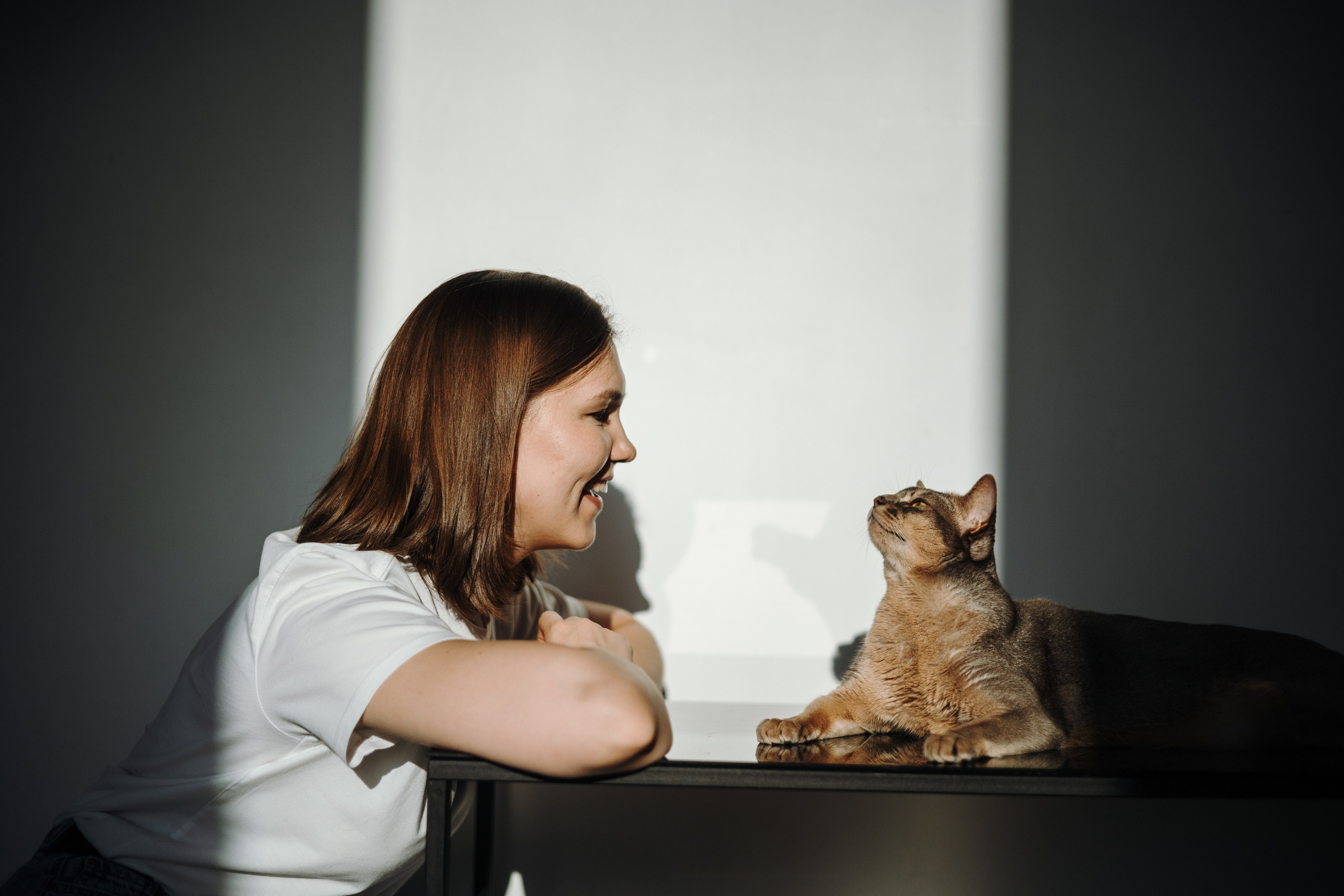 Циско и его семья. Фотограф — Анималист | Санкт-Петербург