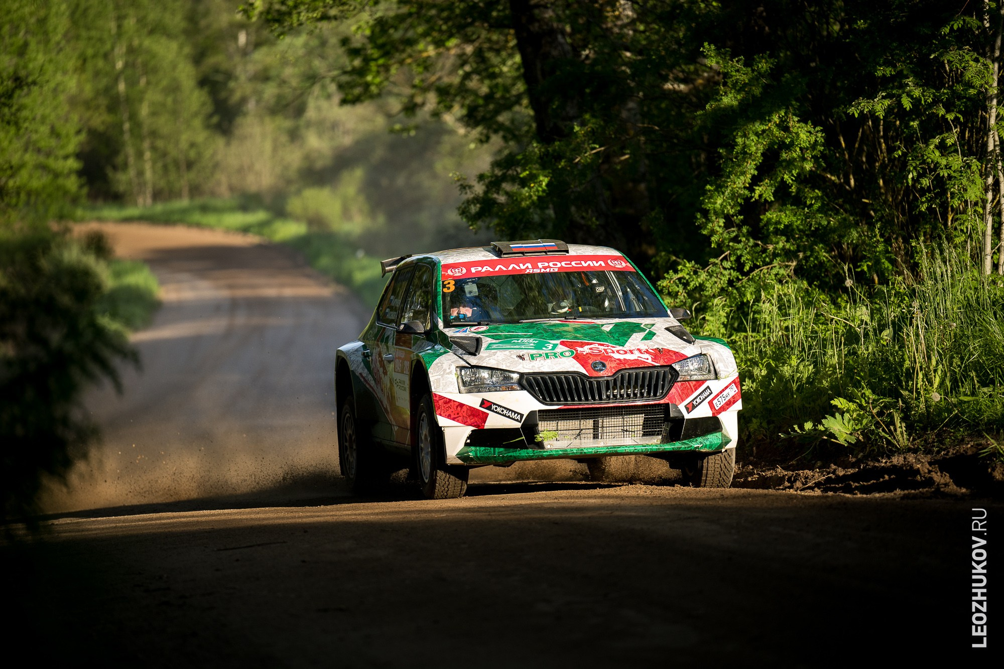 Rally Pushkinskie gory 2025. Sports photographer Leonid Zhukov
