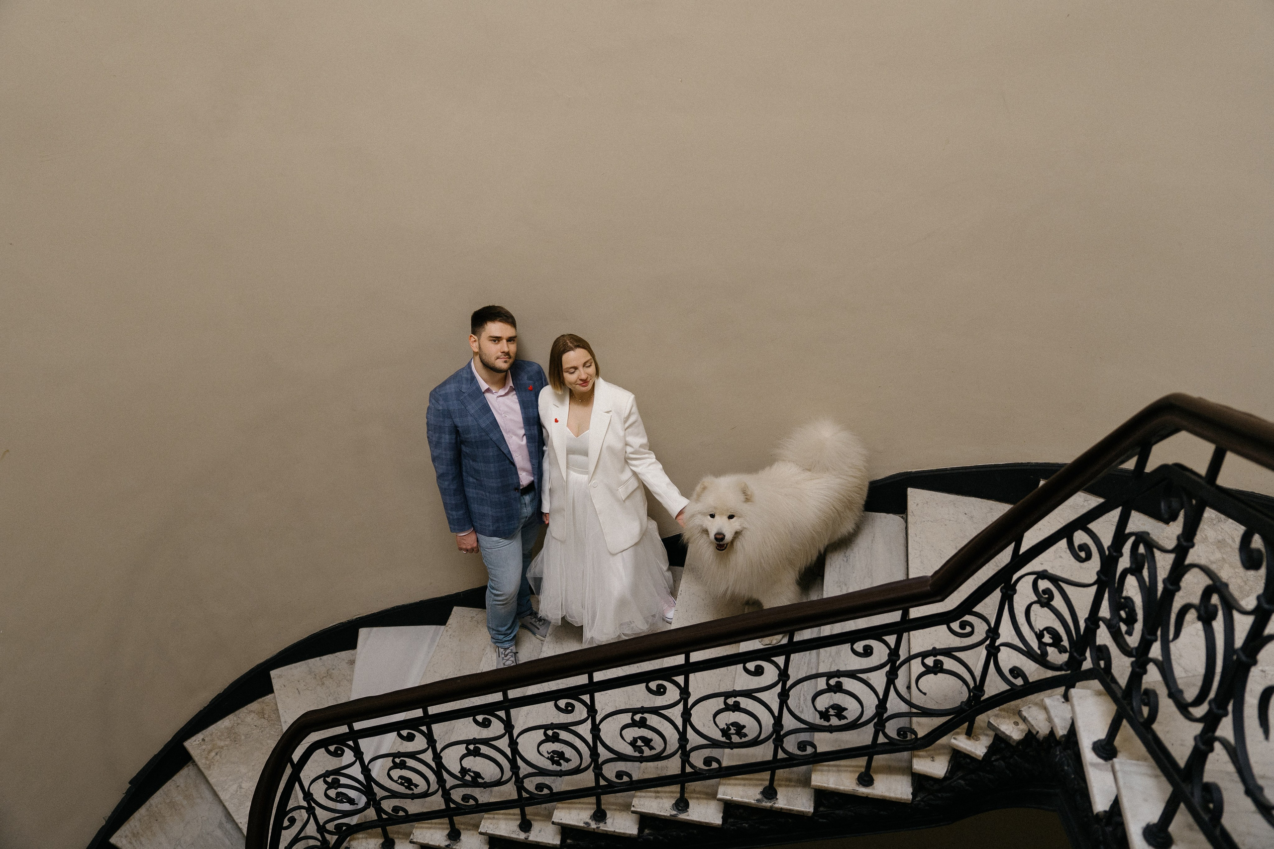 Пушистый свидетель