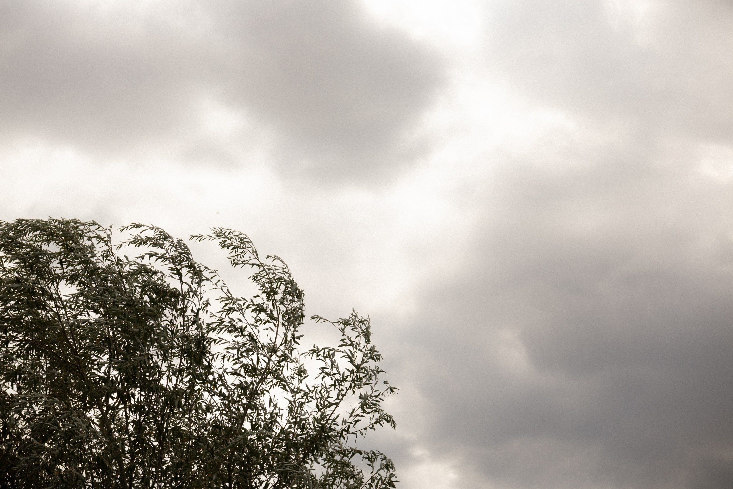 С/М. Вебер Юлия фотограф Ростов-на-Дону