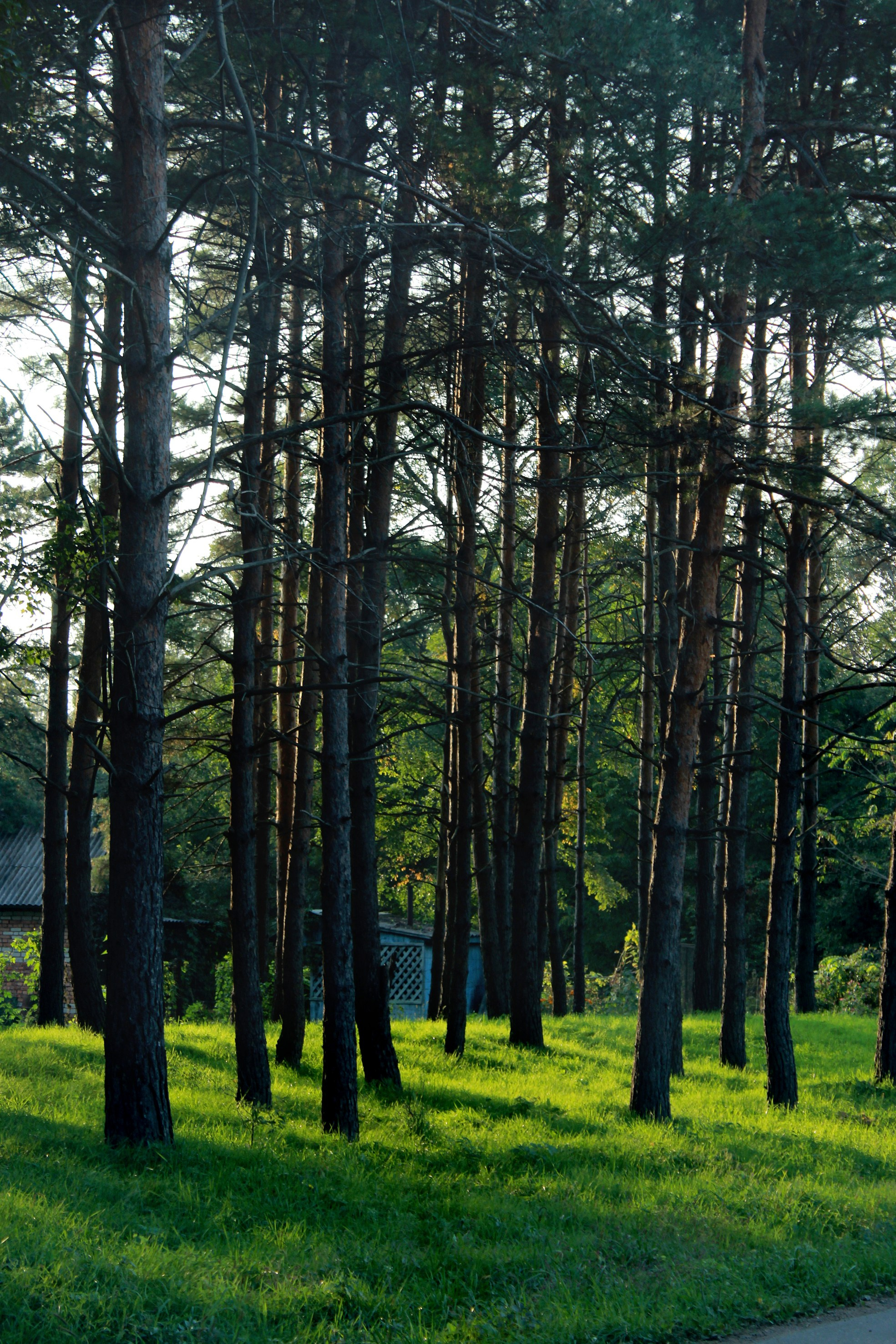 Природа. Команда фотографов Кристины Ивановой