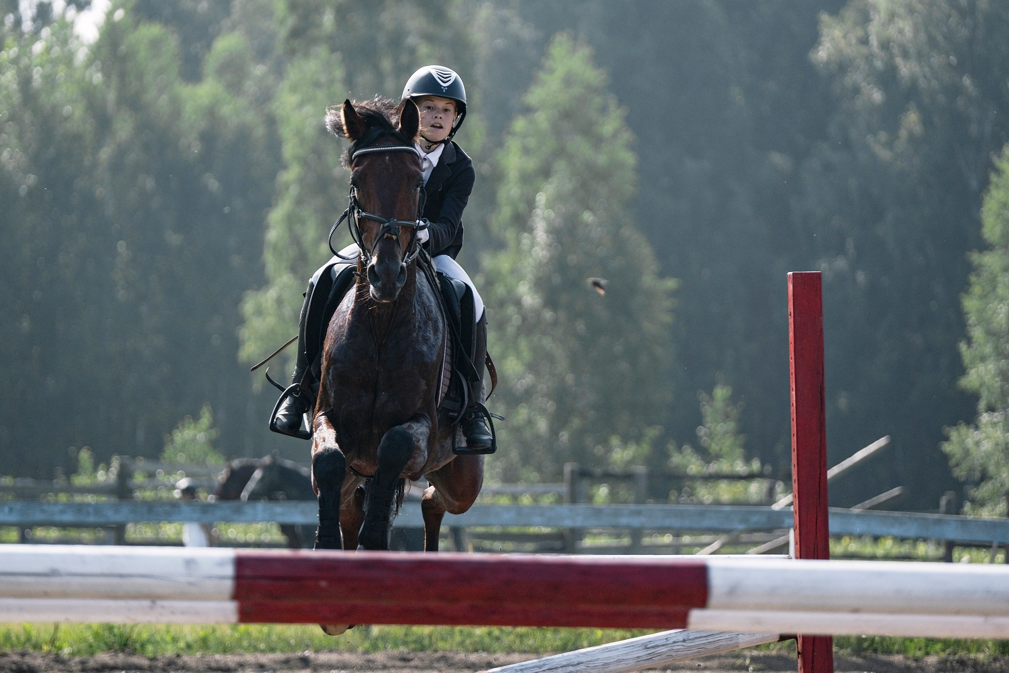 Никита Гольцов фотограф; Репортажный фотограф в Томске; Конный спорт; 