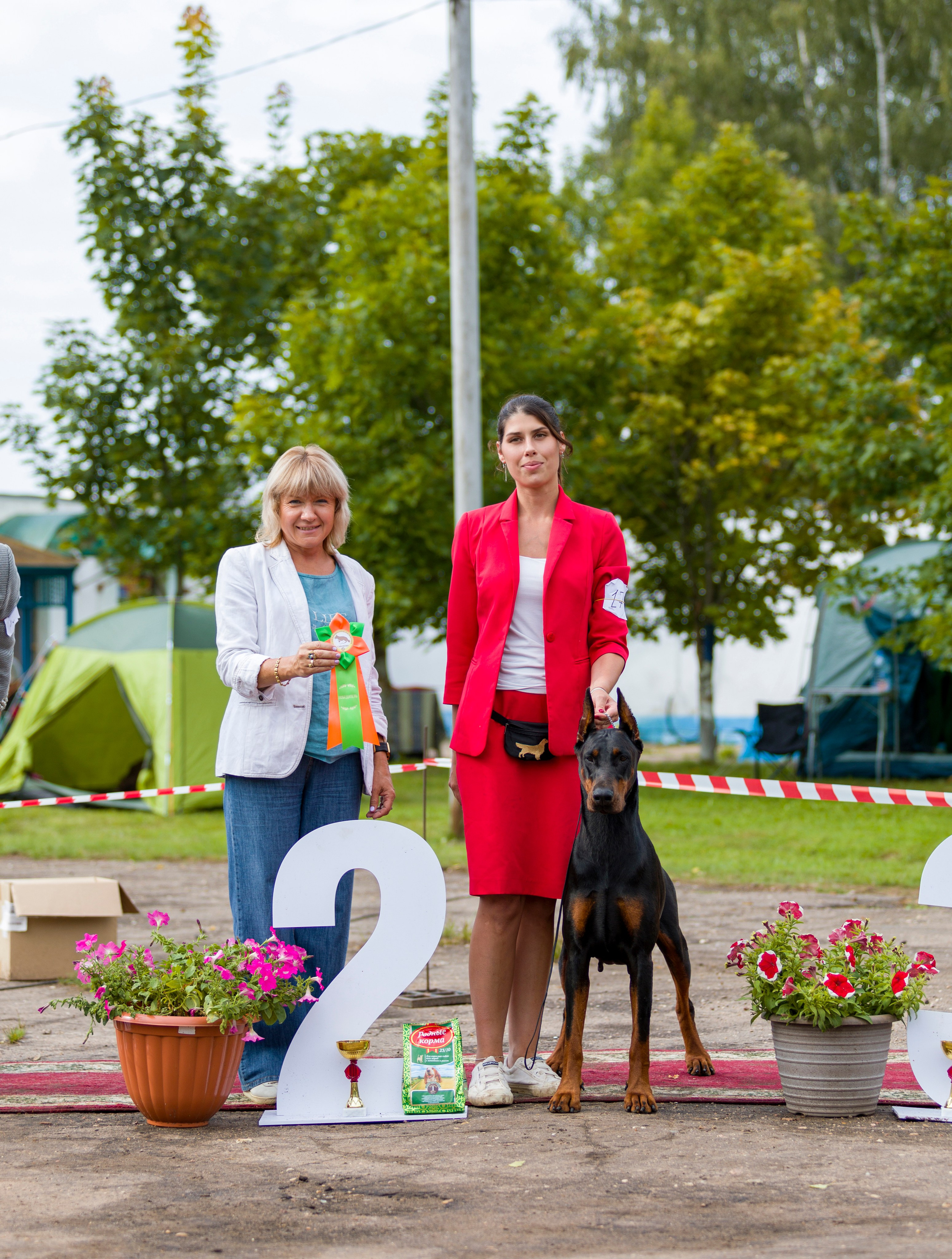 Выставки. Фотограф — анималист Татьяна Ли