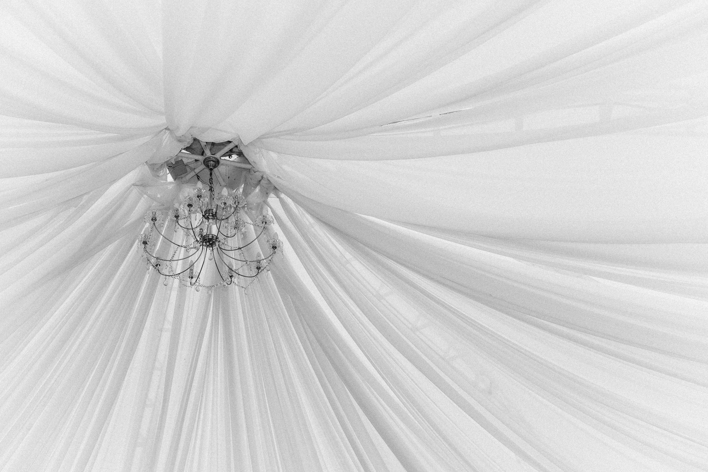 Дмитрий и Юлия. Свадебный и семейный фотограф в Красноярске Анастасия Турчанова