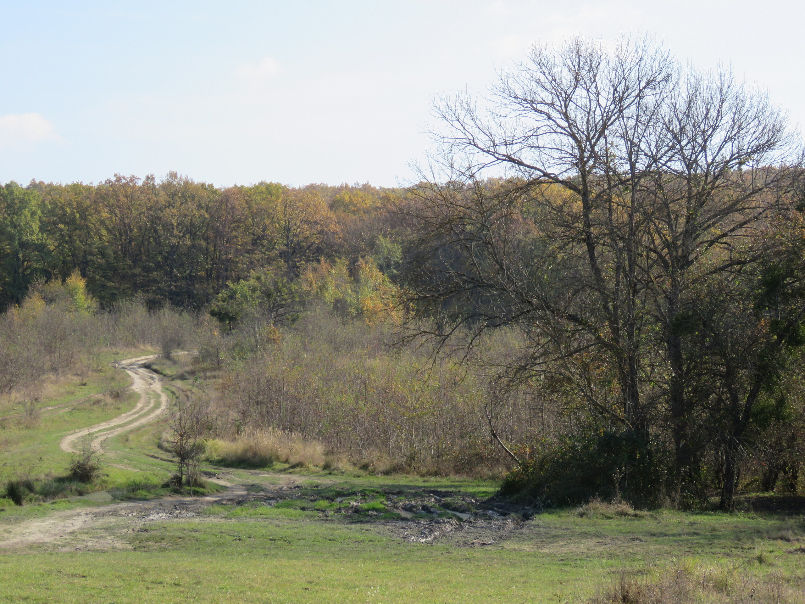 Мамочка дорогая, Царствие Небесное!. Собор Отрасли