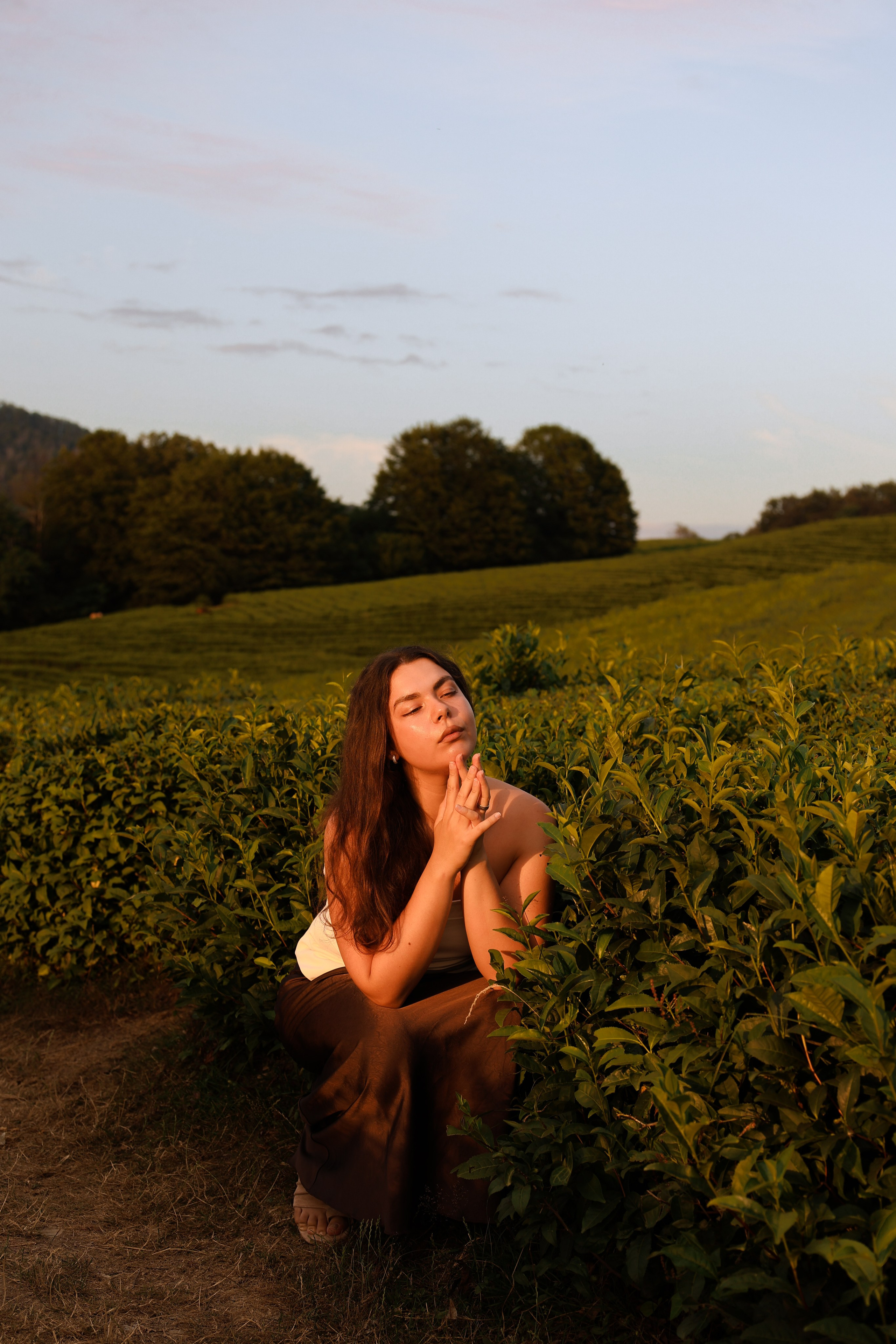 ЧАЙНЫЕ ПЛАНТАЦИИ. Фотограф Москва Оля Олбимак