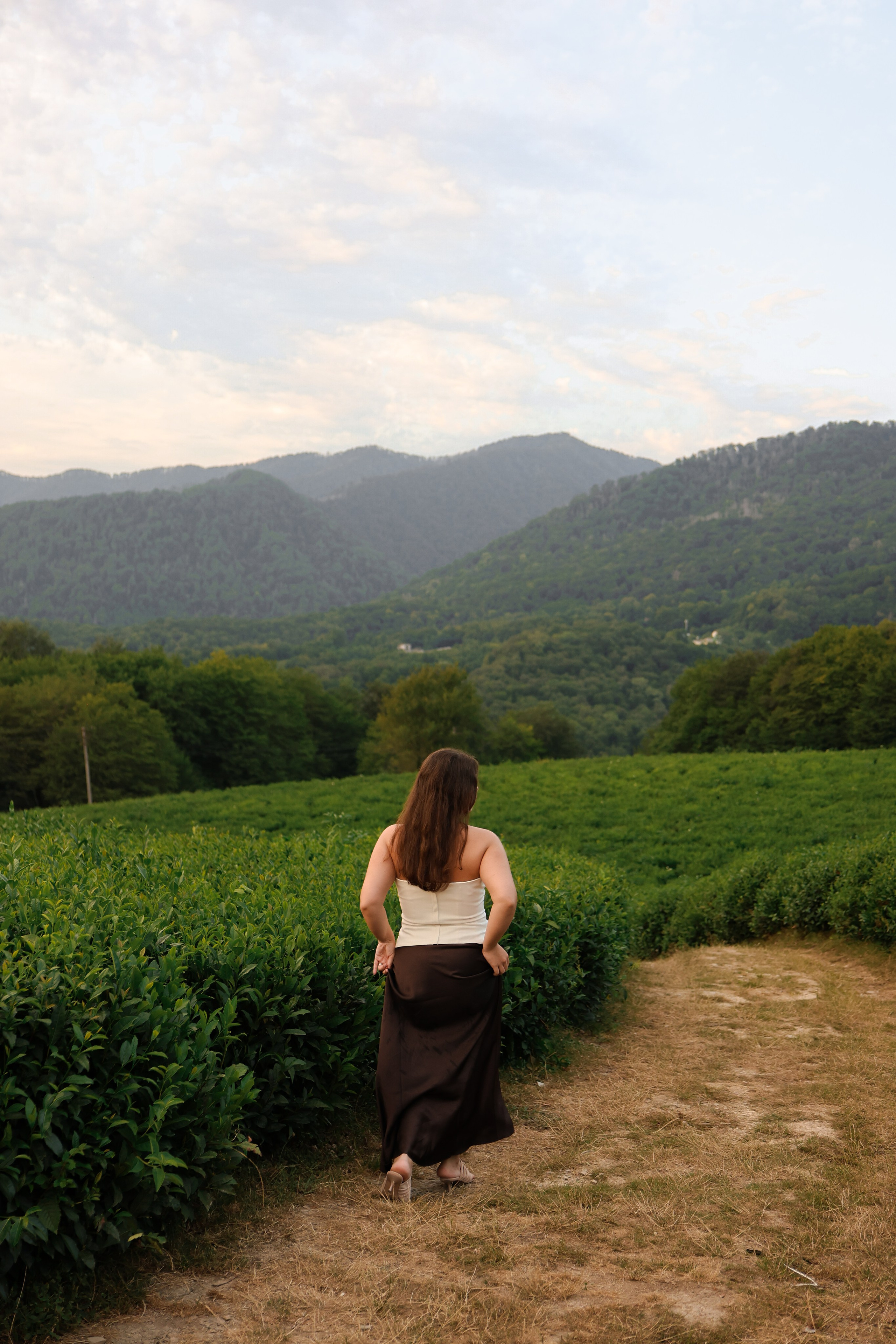 ЧАЙНЫЕ ПЛАНТАЦИИ. Фотограф Москва Оля Олбимак