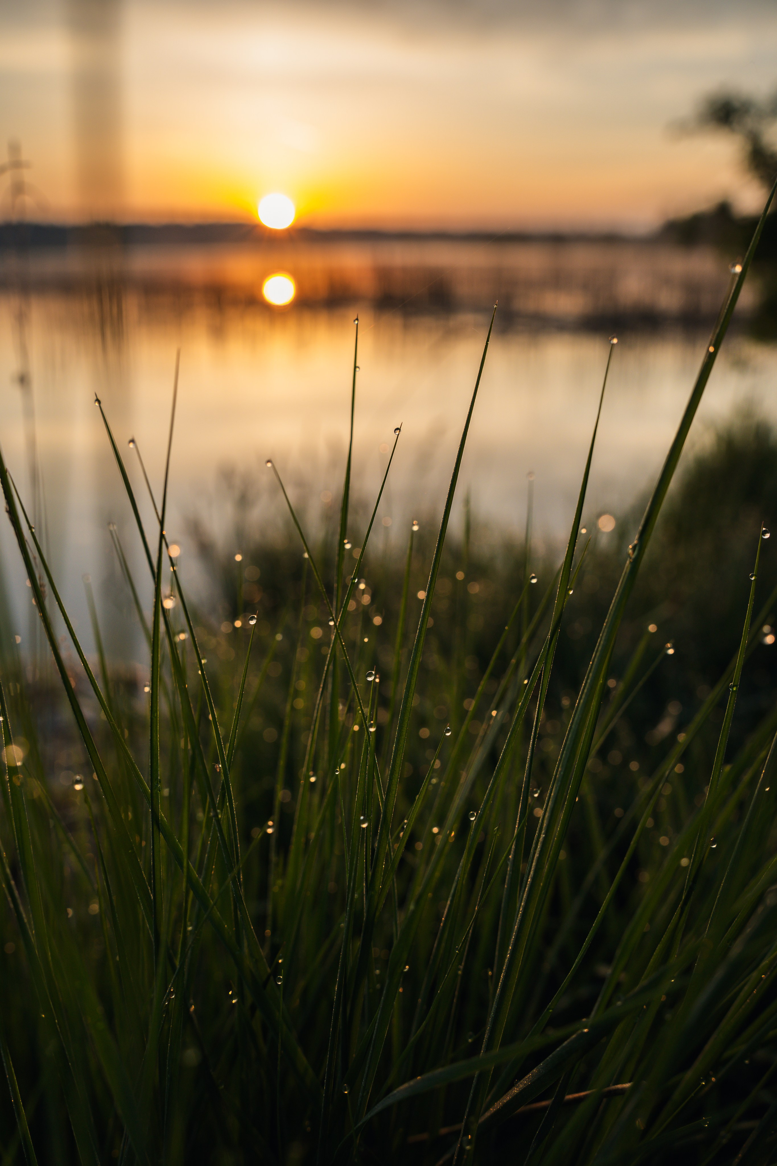 Встреча лета на озере Донцо. Предметный фотограф Санкт-Петербург