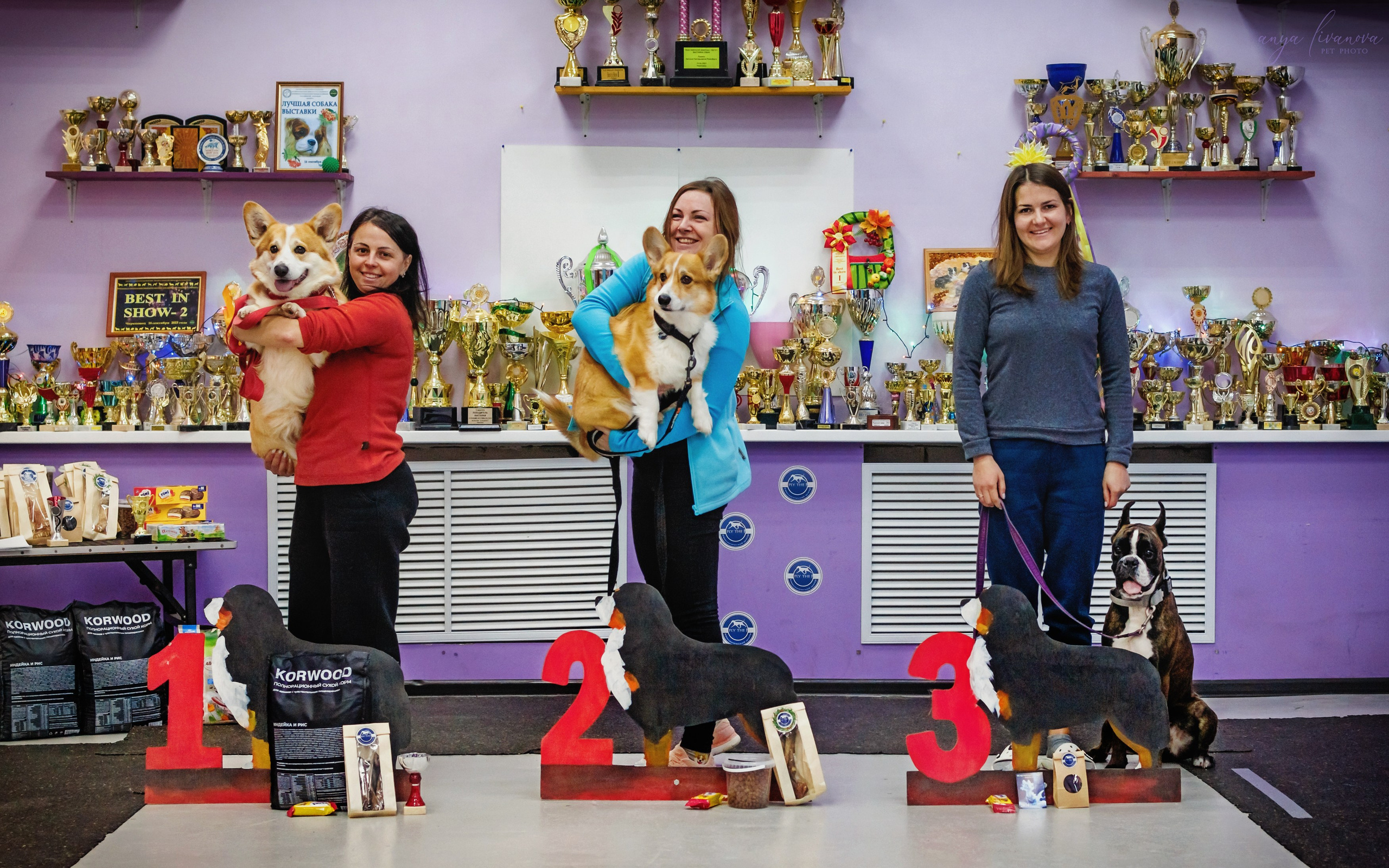 НГ конкурсы в «Simply the Best». Фотограф анималист Аня Ливанова | Рыбинск